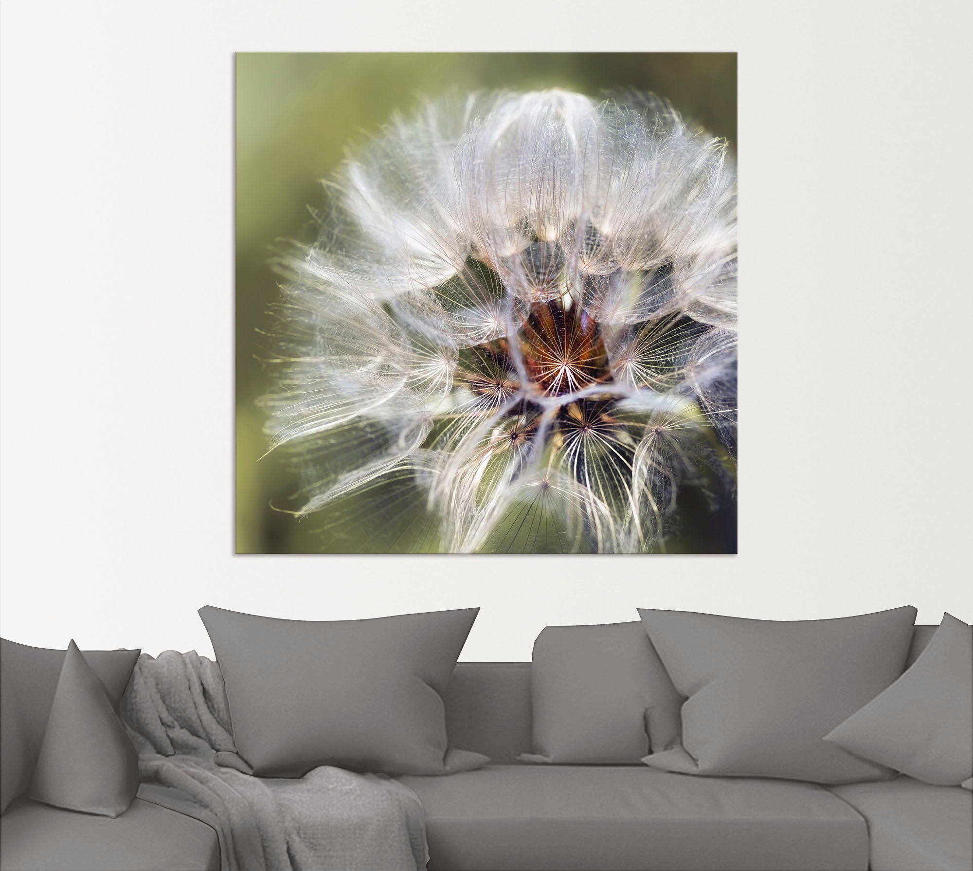 Artland Alu-Dibond-Druck »Pusteblume II« Blumen 1 Stk. tlg. für Innen- und Außenbereich geeignet, Outdoorbild