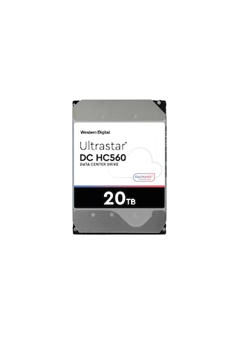 Western Digital Interne HDD-Festplatte »DC HC560«