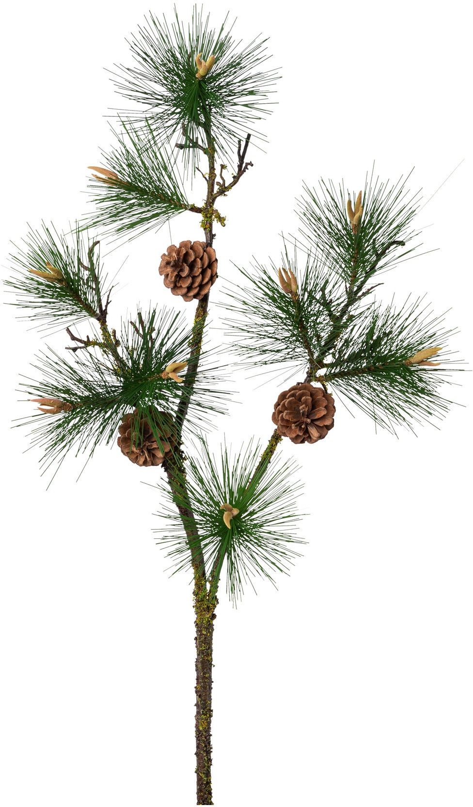 Creativ green Winterliche Kunstpflanze »Weihnachtsde...