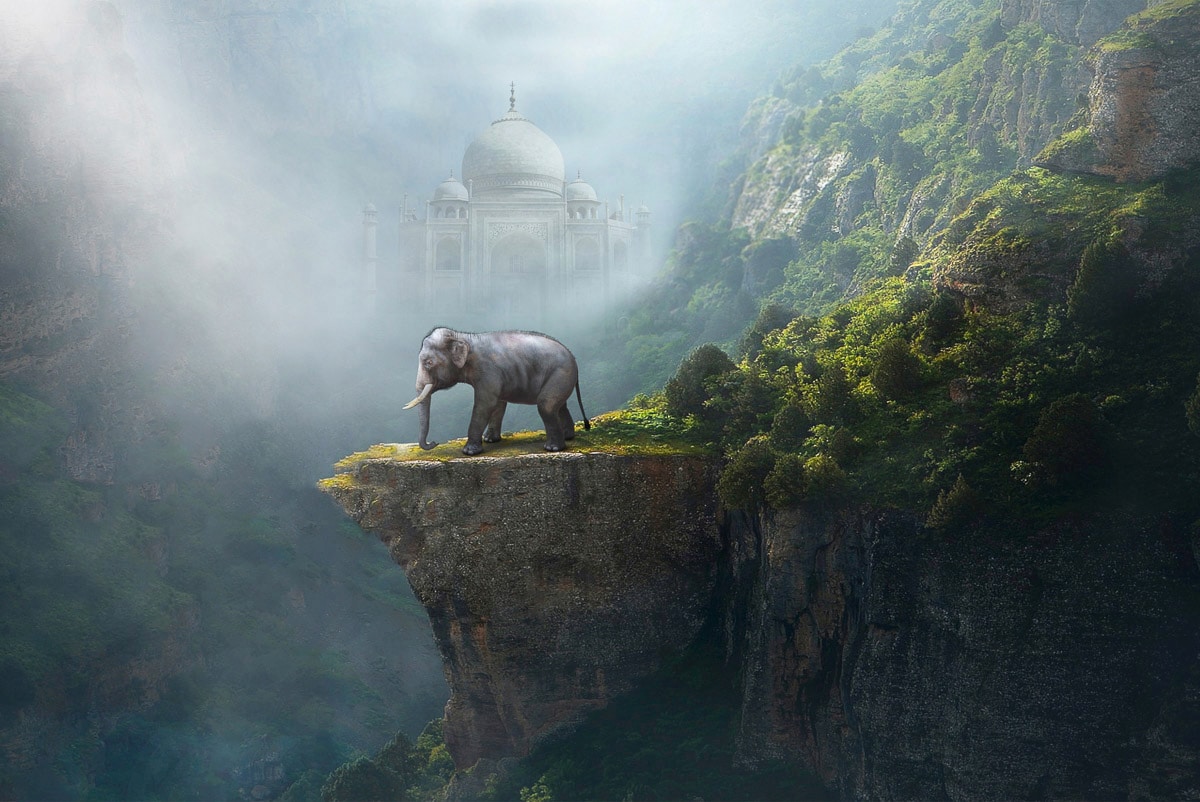 Papermoon Fototapete "Indischer Elefant Taj Mahal"