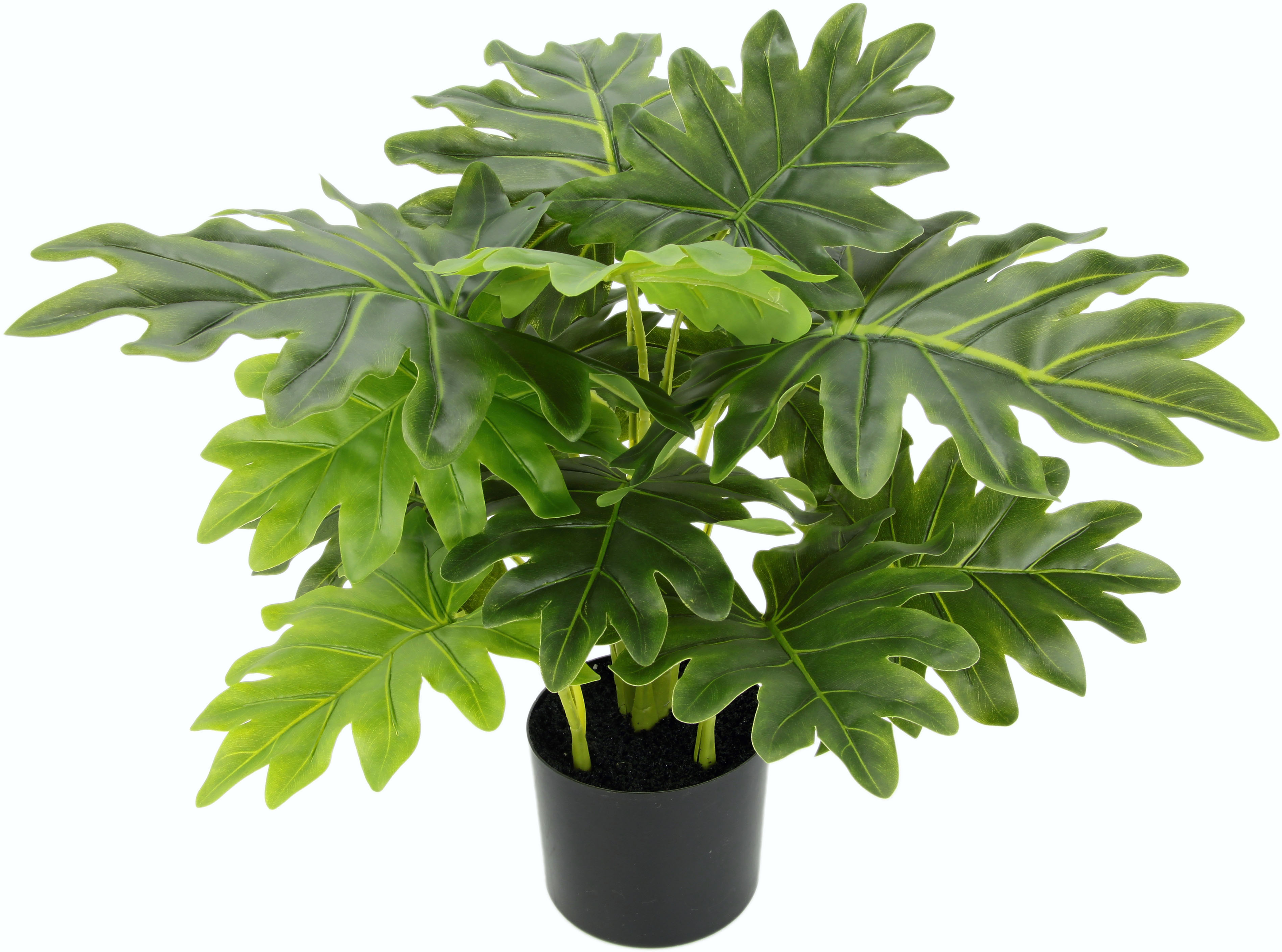 I.GE.A. Kunstpflanze Philopflanze, (1 St.), im Kunststofftopf grün Künstliche Zimmerpflanzen Kunstpflanzen Wohnaccessoires