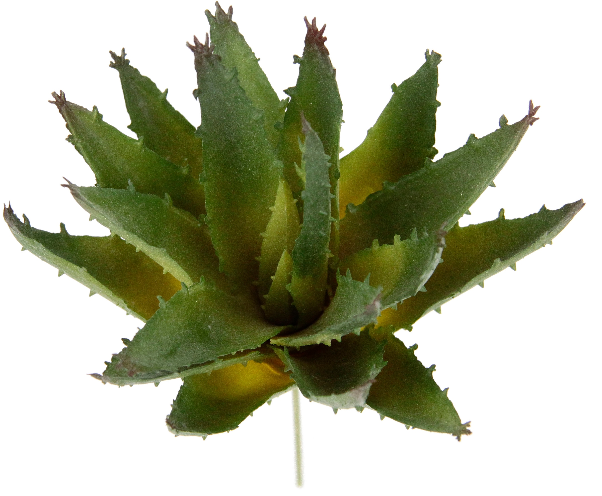 I.GE.A. Kunstpflanze »Dekorative Sukkulenten«, 4er Set, künstliche Pflanzen, Sukkulenten, Aloe, Agave, Kaktus