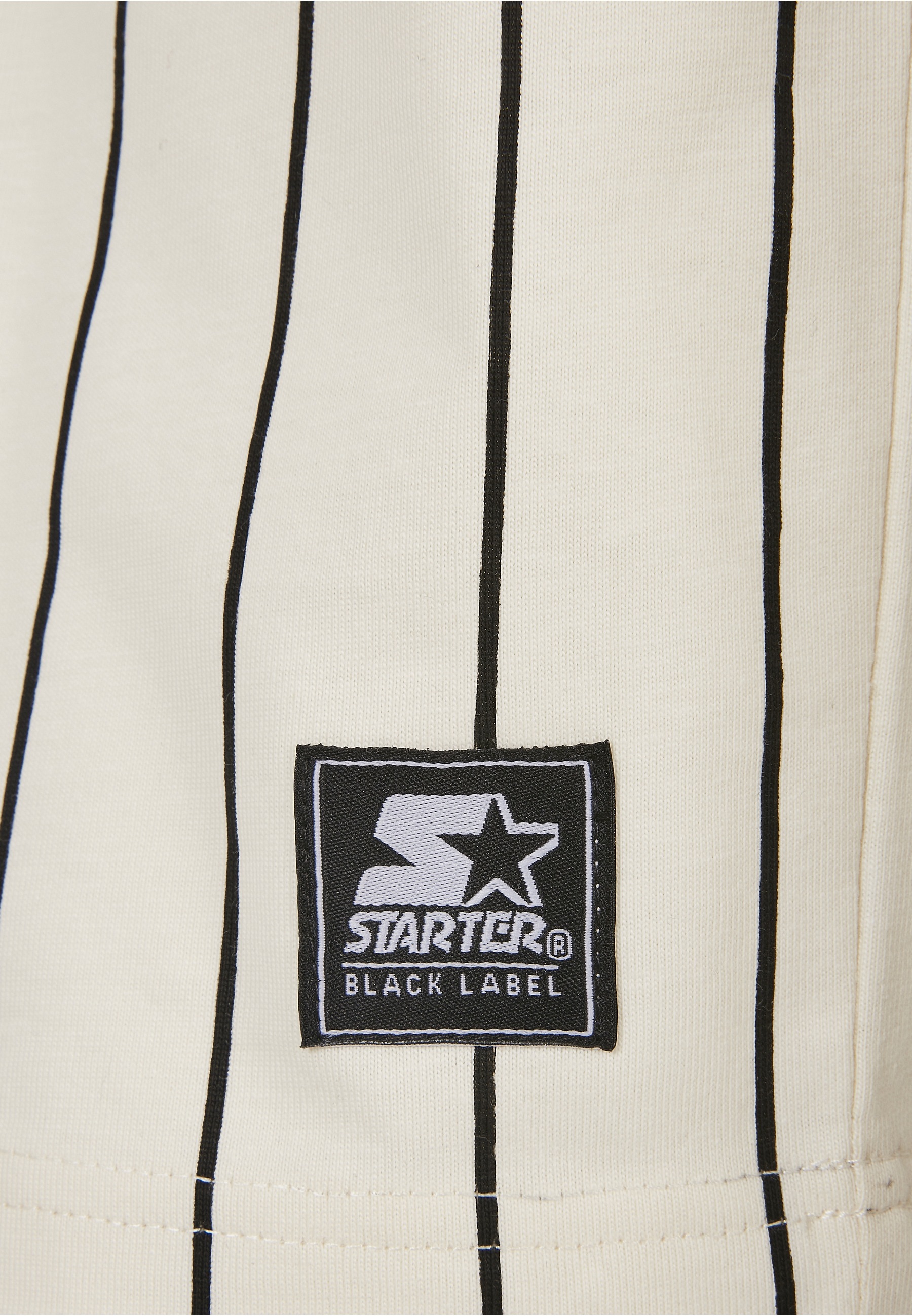 Starter Black Label T-Shirt »Starter Black Label Herren Starter Pinestripe 1971 Tee« 1 Stk.