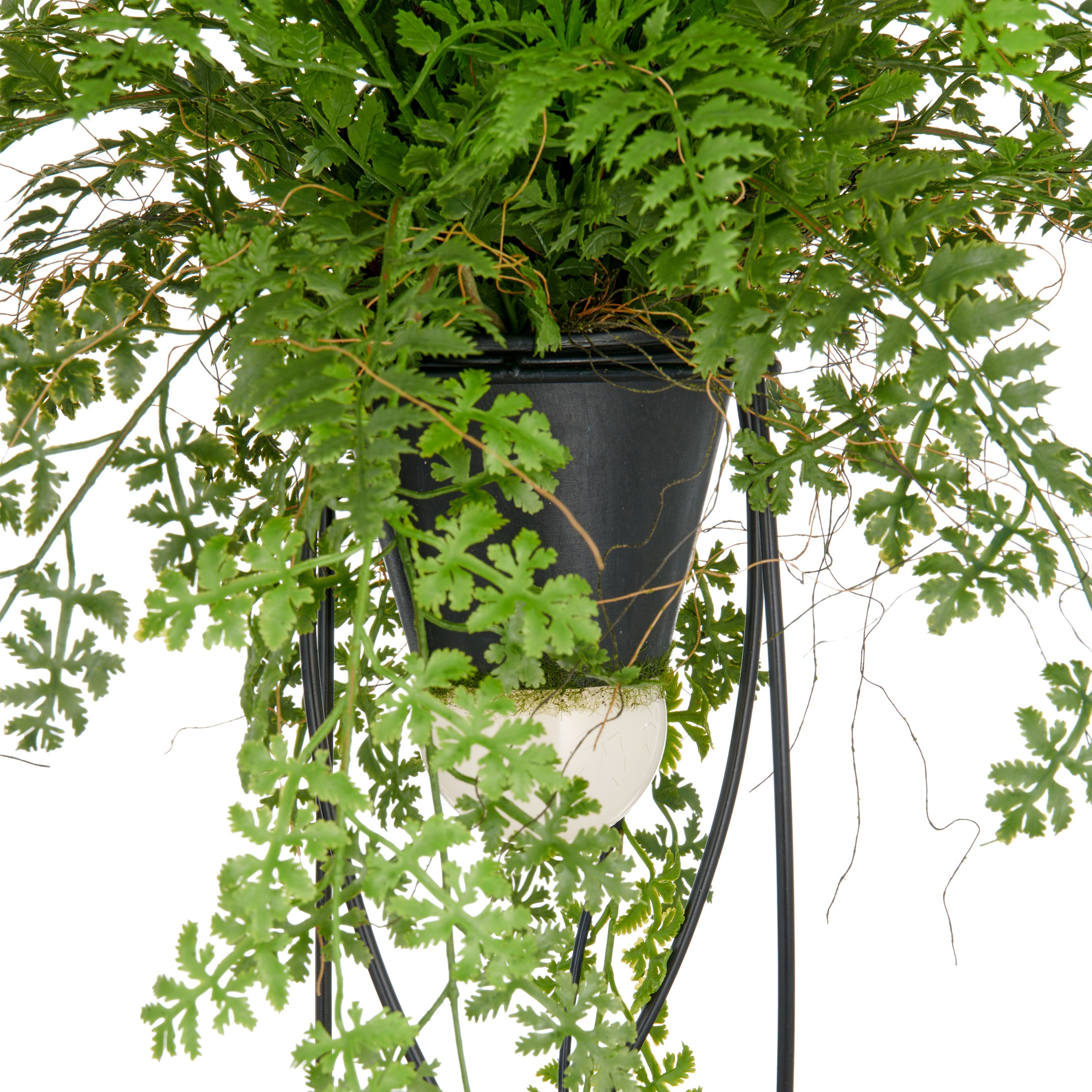 Creativ green Kunstpflanze »Farn als Dekostandleuchte«, mit LED-Beleuchtung