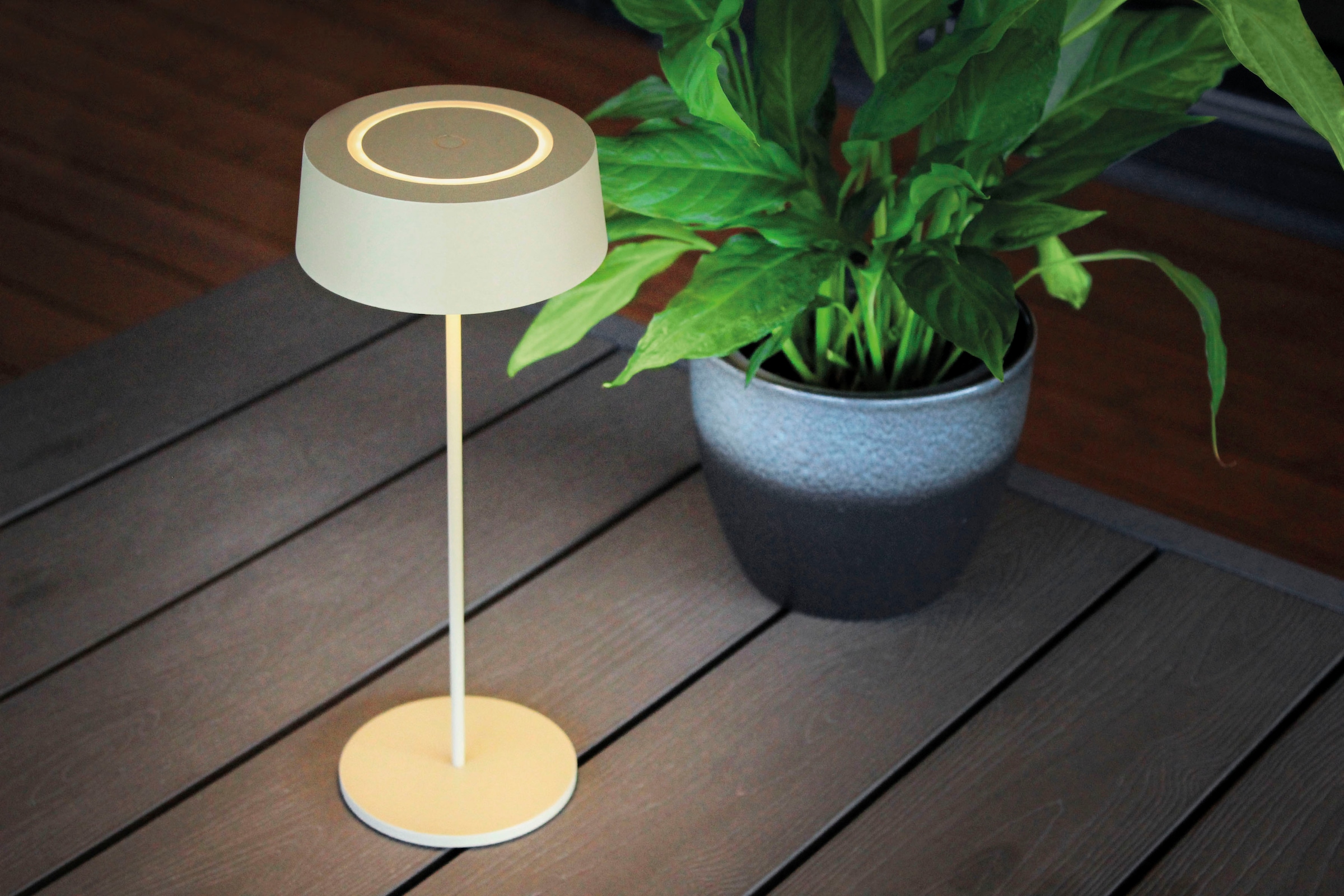 ECO-LIGHT LED Tischleuchte »COCKTAIL«, Leuchtmittel LED-Modul | LED fest integriert, SCHÖNER WOHNEN DESIGN AWARD