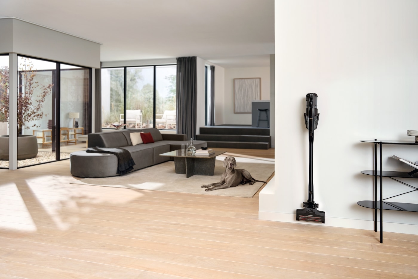 Miele Akku-Stielstaubsauger »Triflex HX3 Cat & Dog«