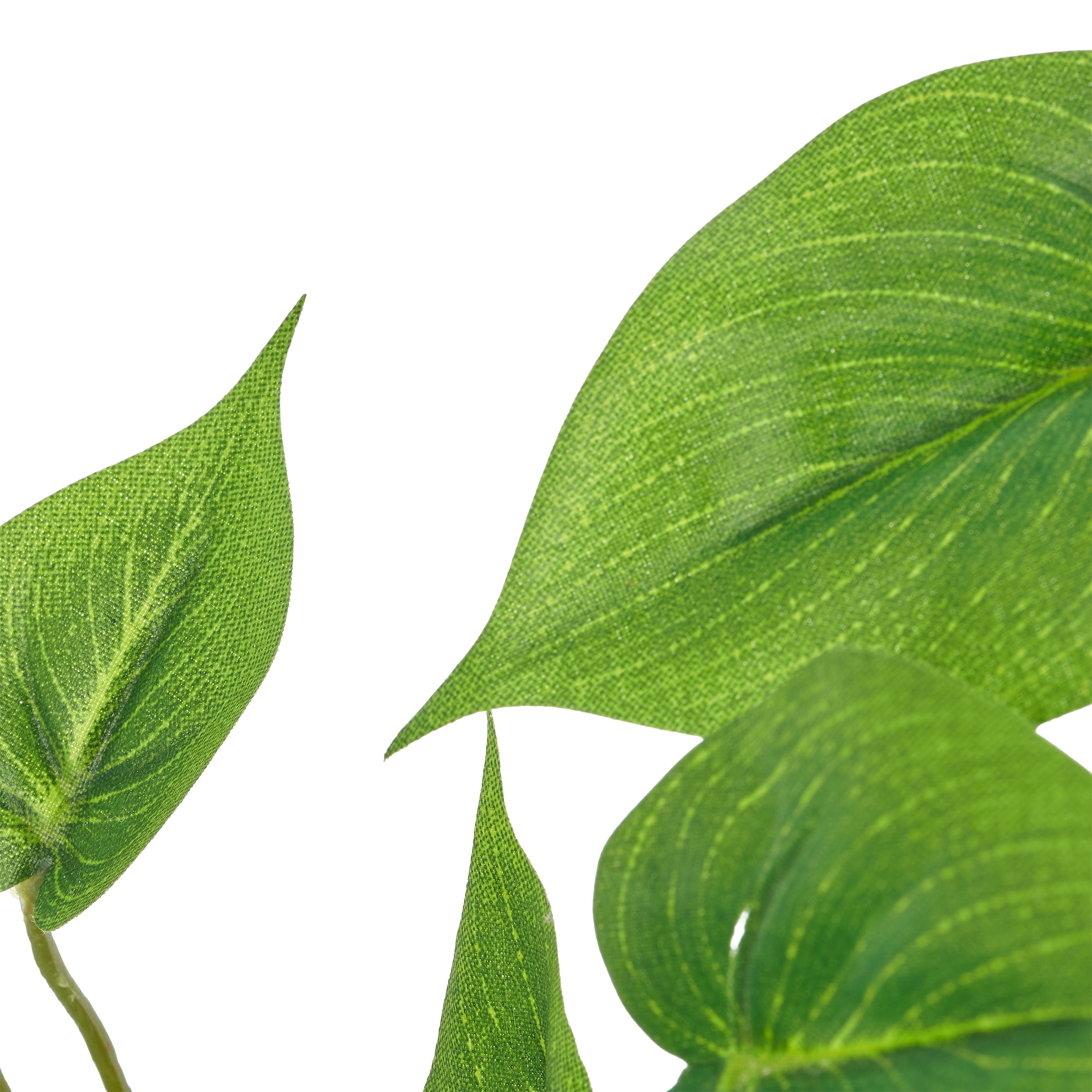 Creativ green Künstliche Zimmerpflanze »Philodendron hederaceum« im Design-Topf