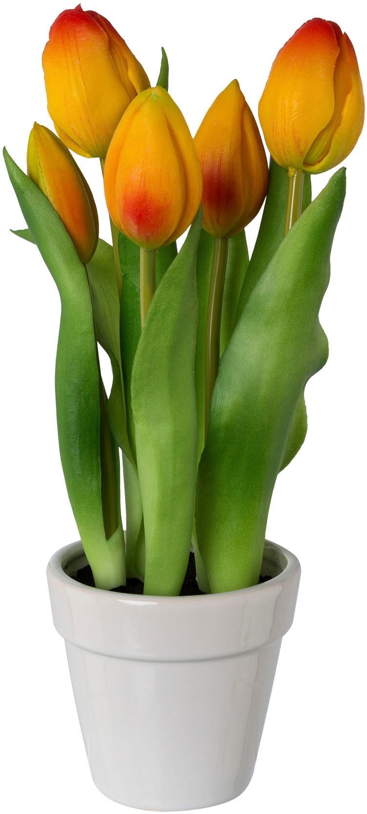 my home Kunsttulpe »Tulpen im Topf«