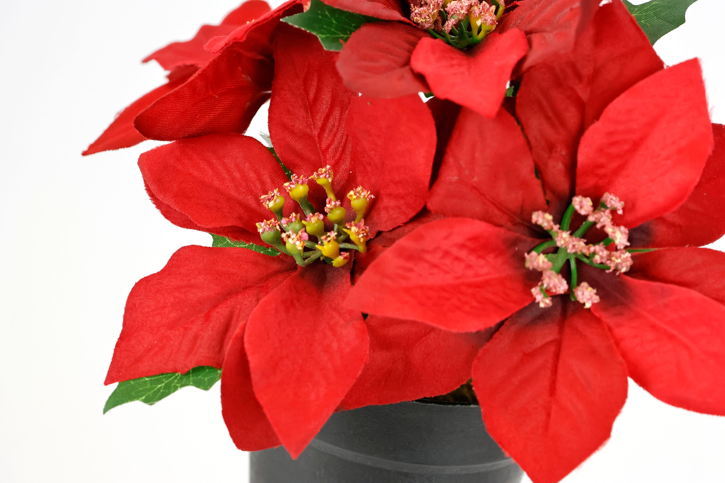 I.GE.A. Kunstblume »Poinsettia im Topf«, 2er Set Künstliche Blume Weihnachtsstern Christstern Weihnachtsdeko