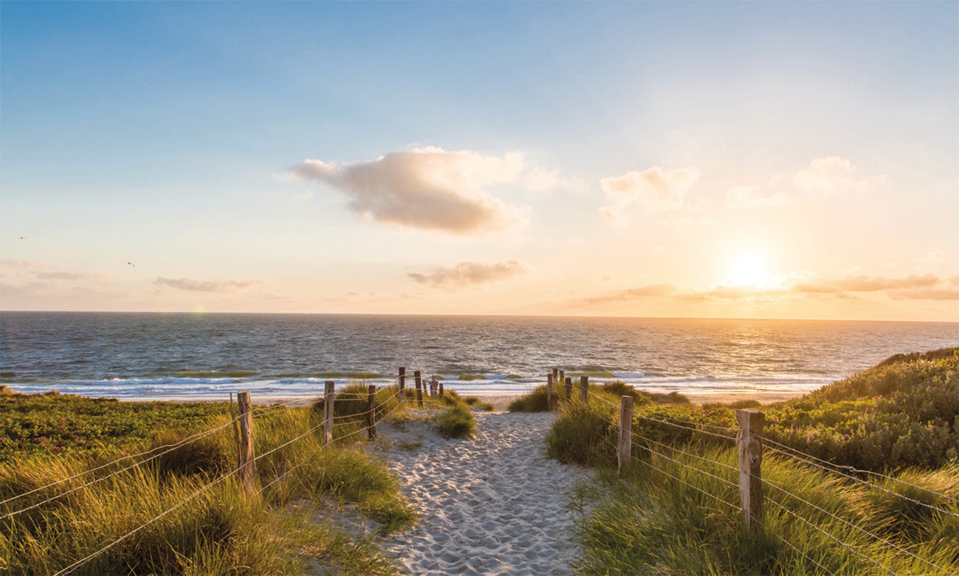 Bönninghoff Leinwandbild "Wandbild STRAND – Leinwandbild Keilrahmen Deko modern" Düne Meer Strand 1 Stk. tlg. auf Keilrahmen gespannt
