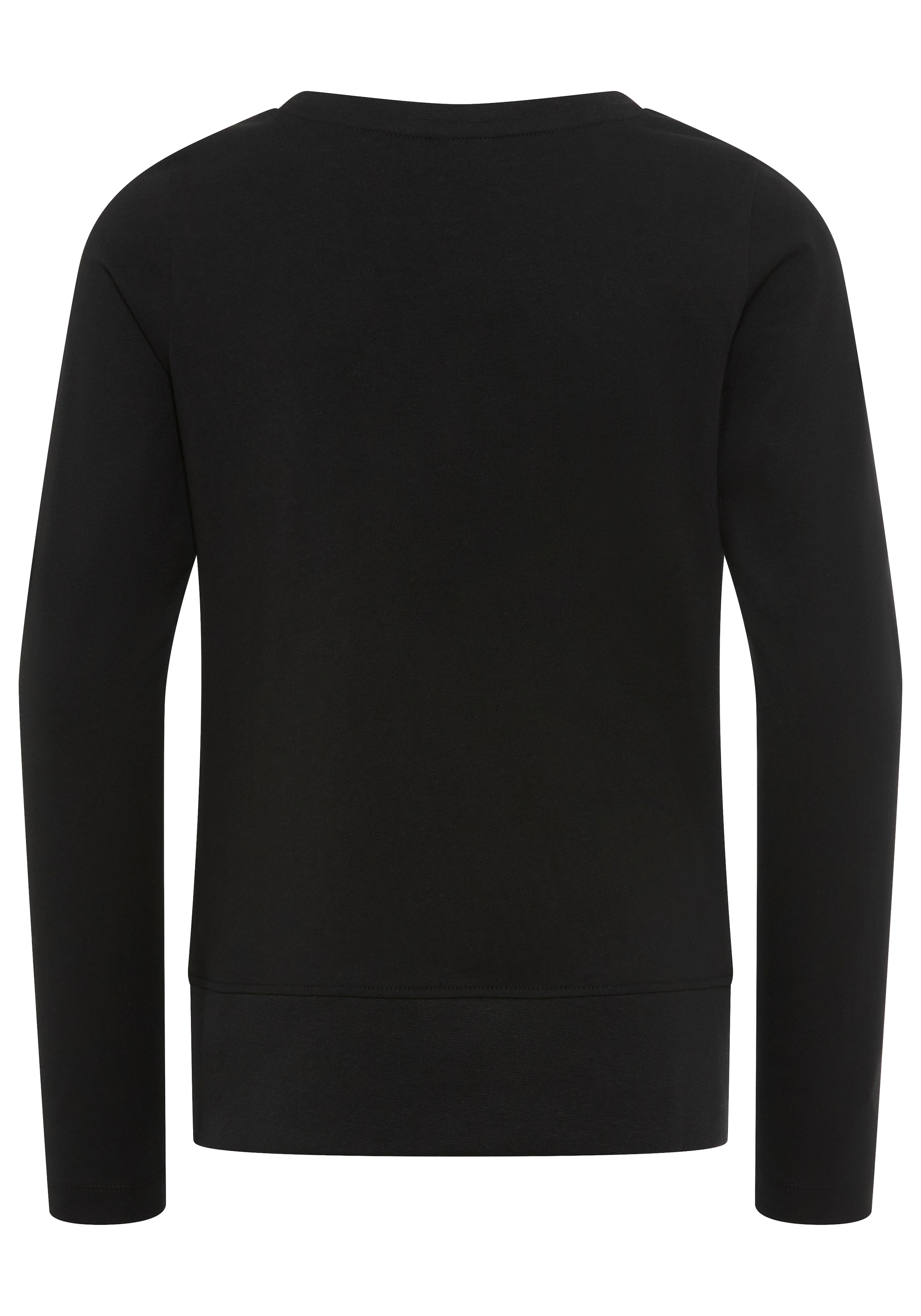KangaROOS Langarmshirt »mit coolem Colourblocking«, mit Kangaroos Logo und Stickerei