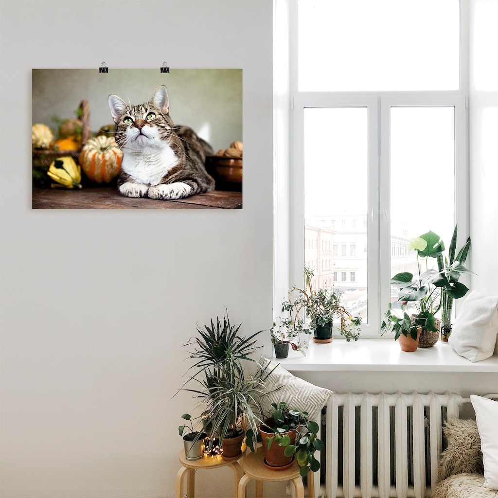 Artland Poster »Katze und Herbstdeko«, Haustiere, (1 St.)