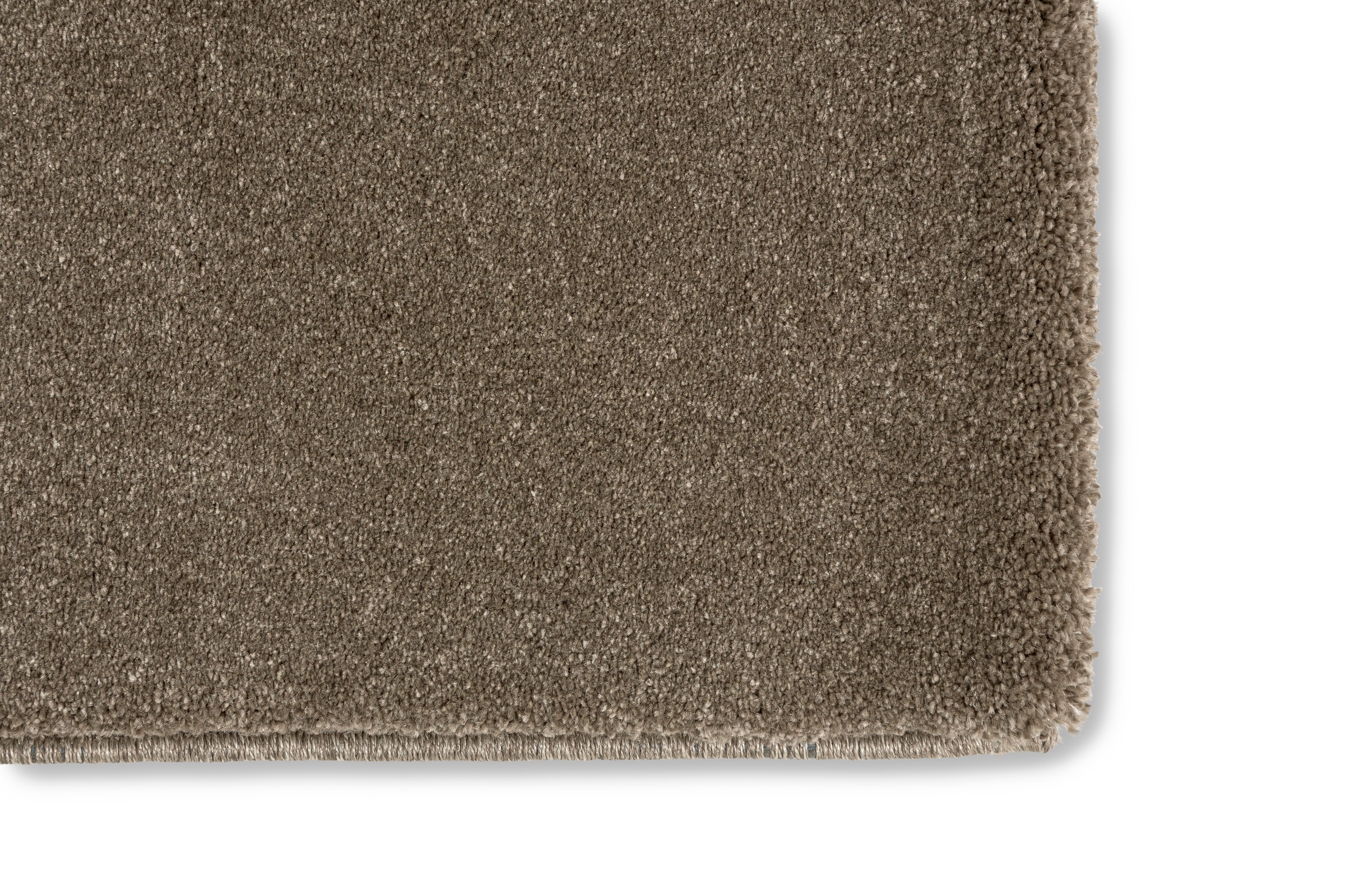 ASTRA Teppich »Barletta 240«, rechteckig, 20 mm Höhe, Langflor, Shaggy, uni, weich, Wohnzimmer,Schlafzimmer