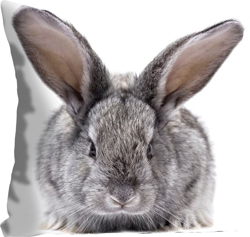 queence Dekokissen "Sixten" mit einem flauschigen Hasen günstig online kaufen