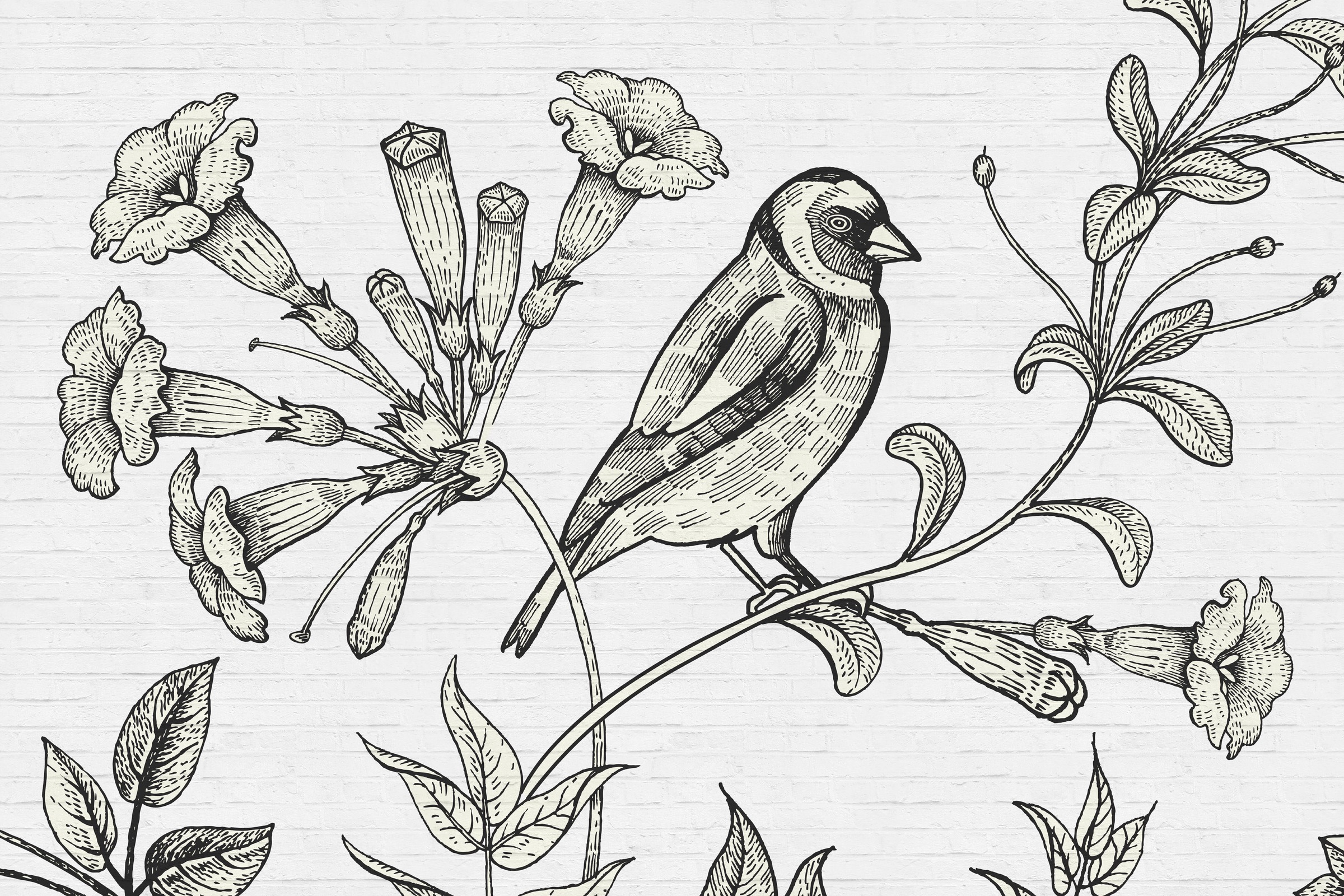 A.S. Création Leinwandbild »birdy«, Kunst-Gemälde-Kinder, (1 St.), Schwarz-Weiß Zeichnung Floral Keilrahmen Leinwand-Bild Wohnzimmer Wand