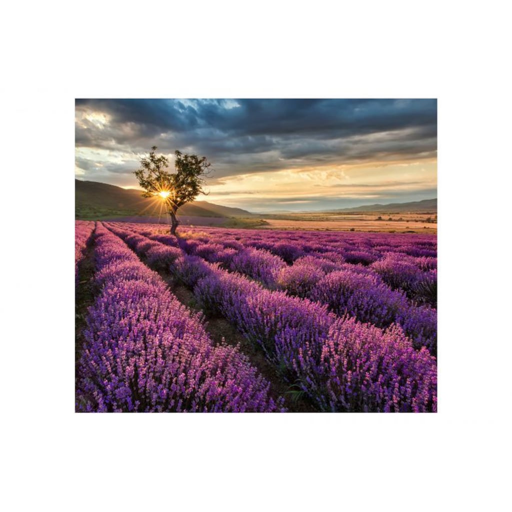 Wall-Art Herd-Abdeckplatte »Lavendel Blumen Sonnenaufgang«, (1 tlg.)