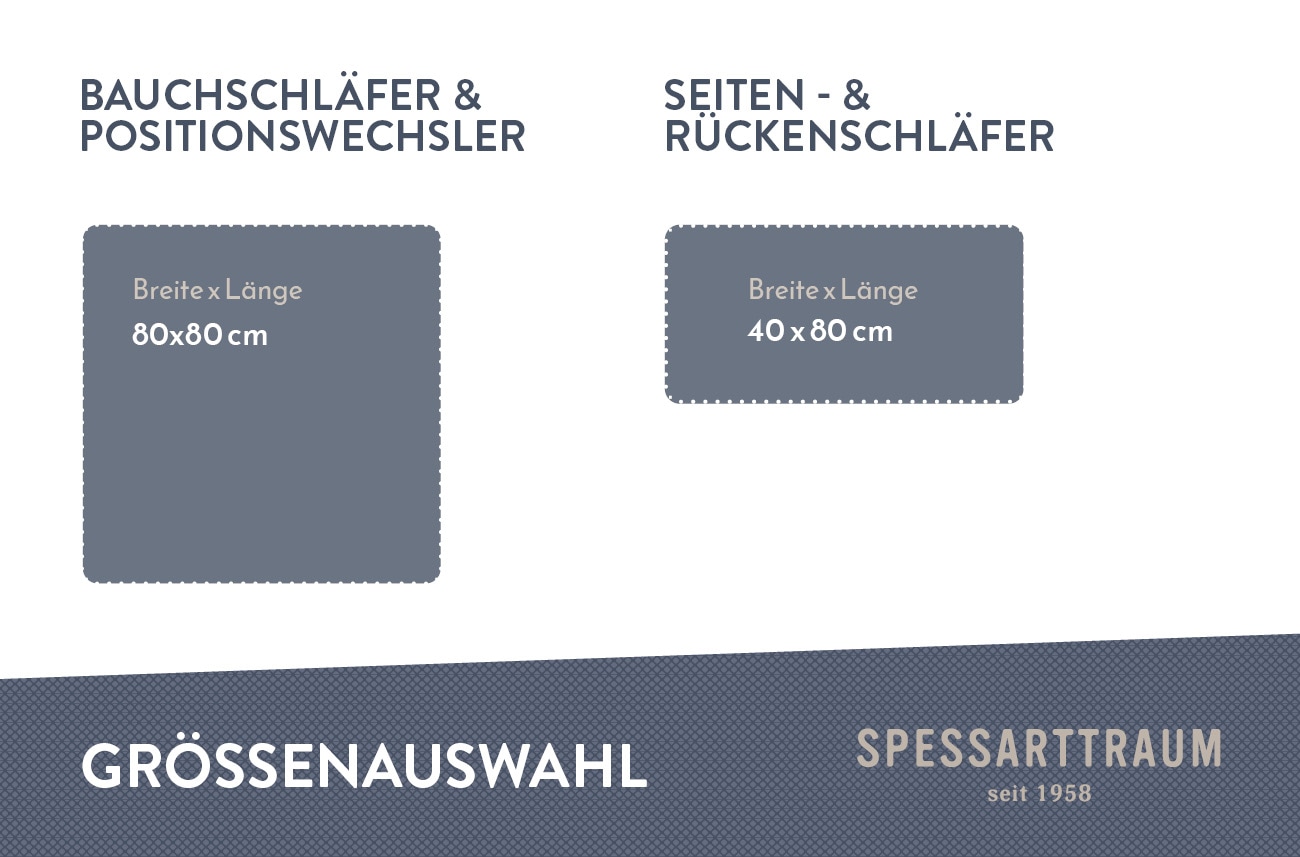 SPESSARTTRAUM Gänsedaunenkopfkissen »Premium«, Füllung: 90% Gänsedaunen, 10% Gänsefedern, Bezug: 100% Baumwolle, (2 St.), hergestellt in Deutschland, allergikerfreundlich, im Set günstiger