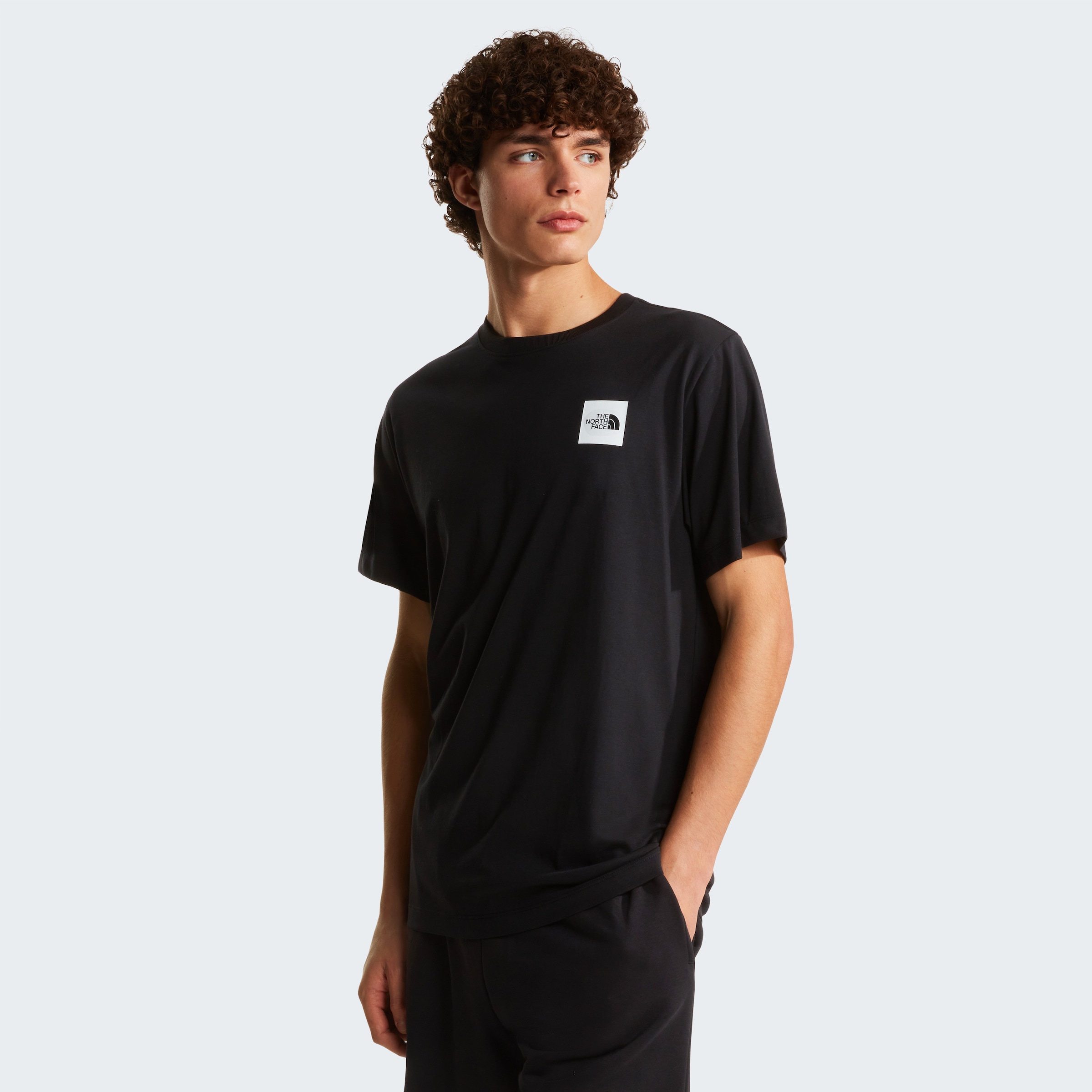 The North Face T-Shirt "M EVOLUTION BOX HALF DOME REGULAR SHORT SLEEVE TEE" günstig online kaufen