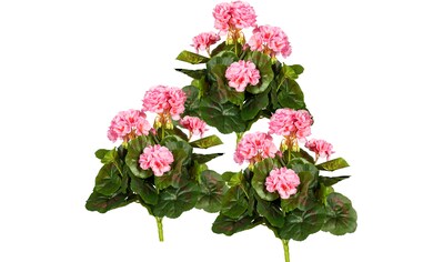 DELAVITA Kunstblume »Evke«, (3 St.), Kunstpflanze, 3er Set kaufen