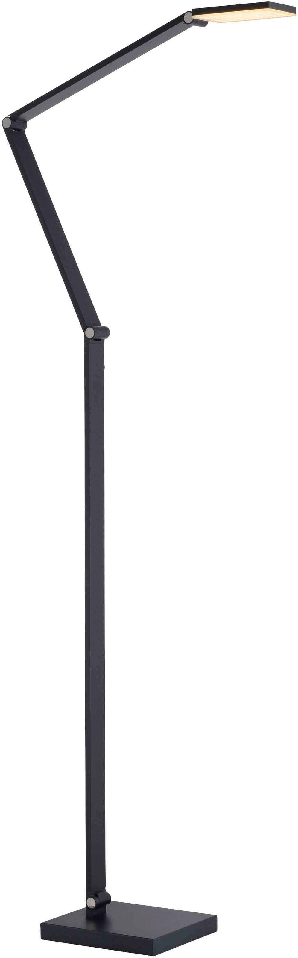 Paul Neuhaus LED Stehlampe »SAMSKY« LED-Board 1 Stk. warmweiß - kaltweiß Tastdimmer, CCT 2700-5000K, Memory, Höhenverstellbar