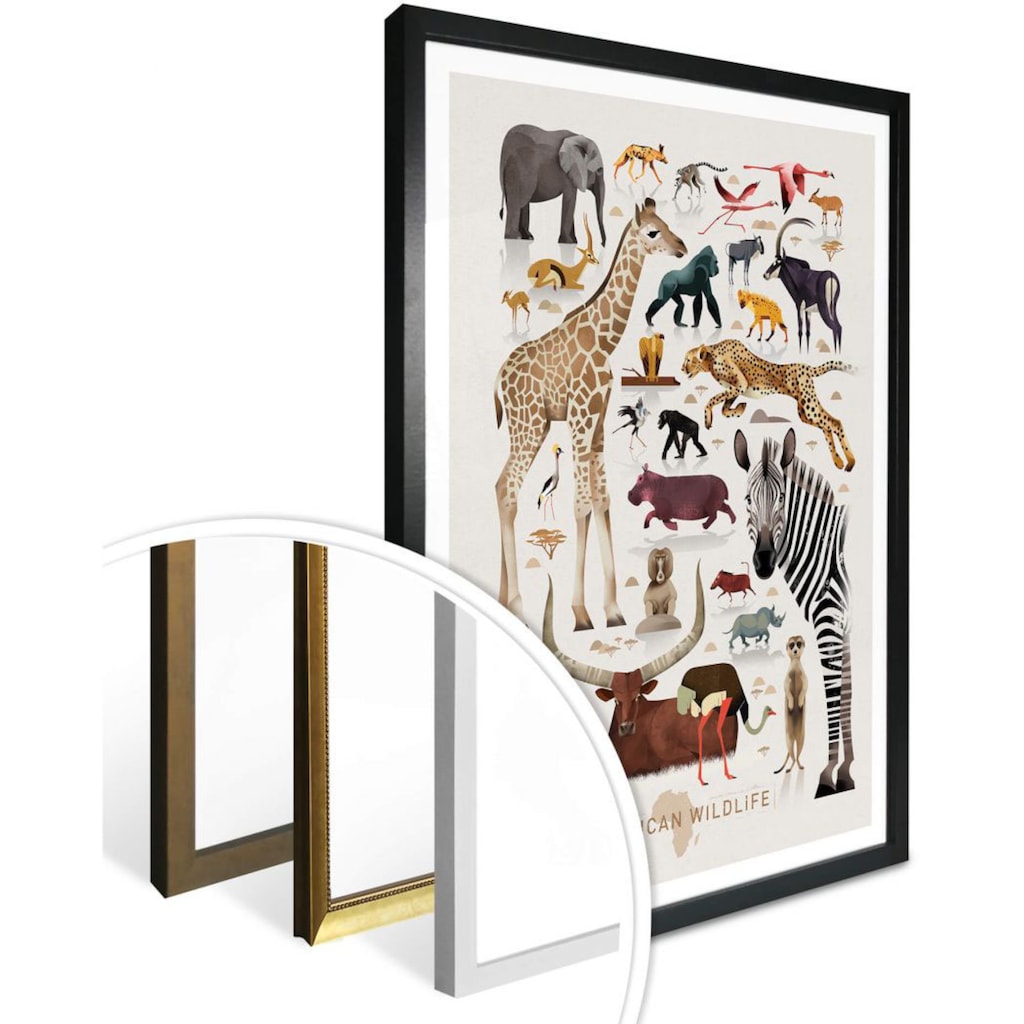 Wall-Art Poster »Africa Safari Tiere Zebra Elefant Löwe«, Afrika, (1 St.)