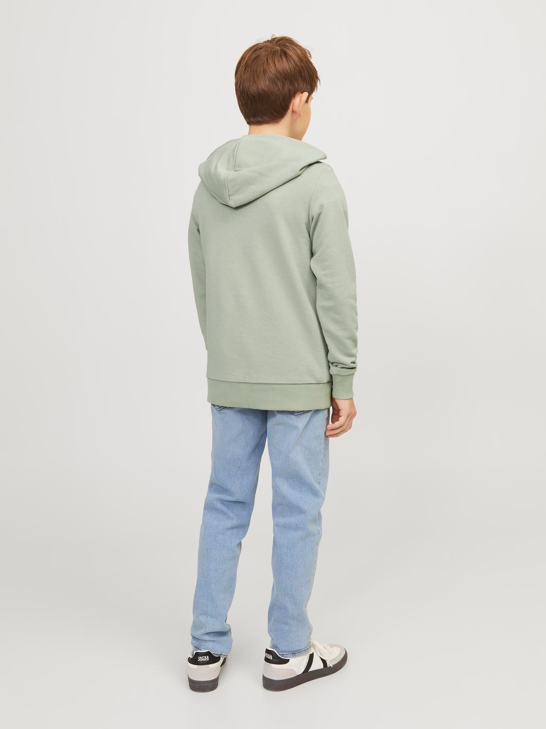 Jack & Jones Junior Hoodie »JJELOGO SWEAT HOOD 2 COL 24 SN JNR«