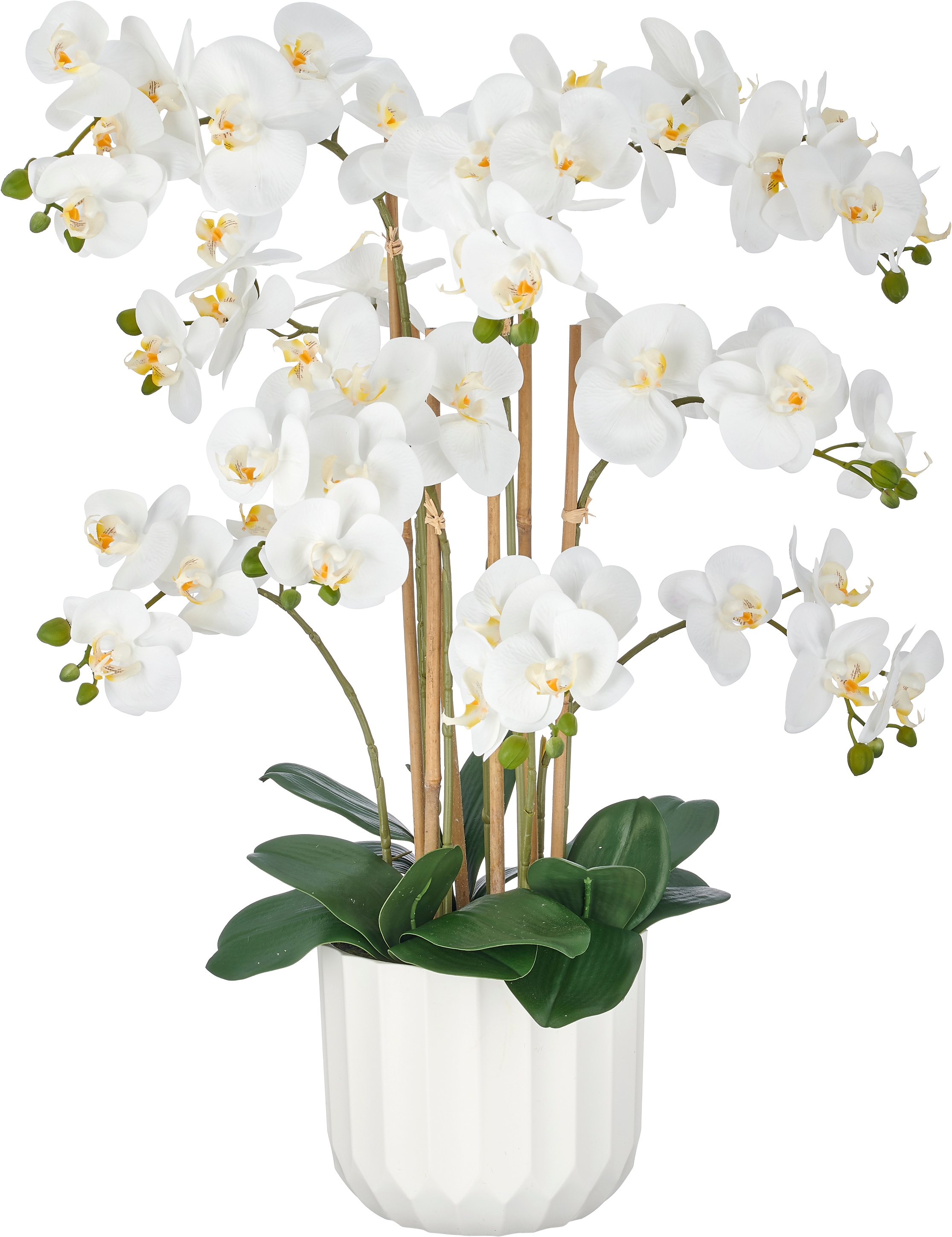 Creativ green Kunstorchidee "Phalaenopsis" im Design-Pflanzgefäß