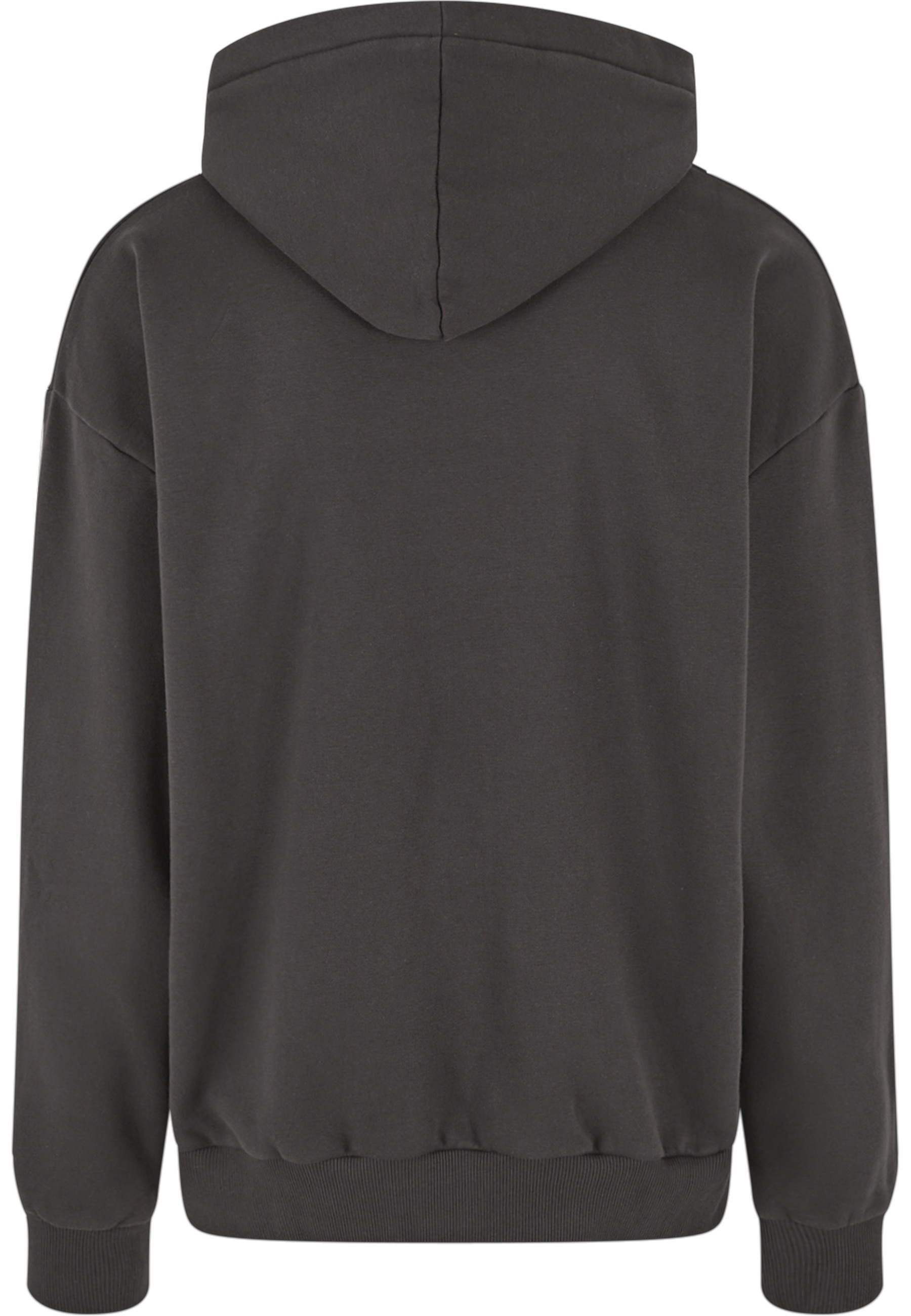 Dropsize Kapuzensweatshirt »Dropsize Herren Heavy Oversize Puffer Print Hoodie«, 1 Stk.
