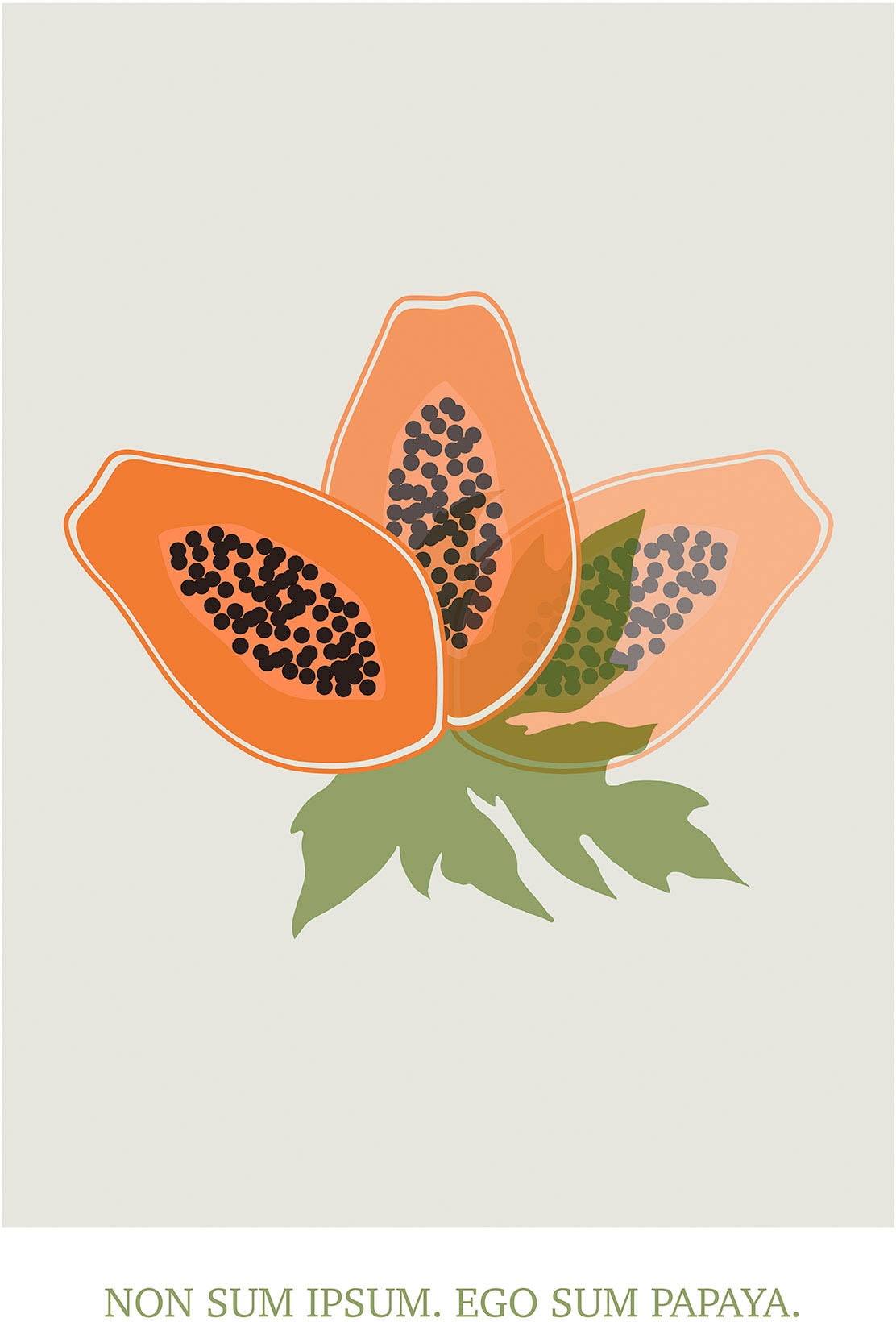 Komar Bild "Cultivated Papaya" Natur 1 Stk. tlg. Wandbild zur Dekoration - günstig online kaufen