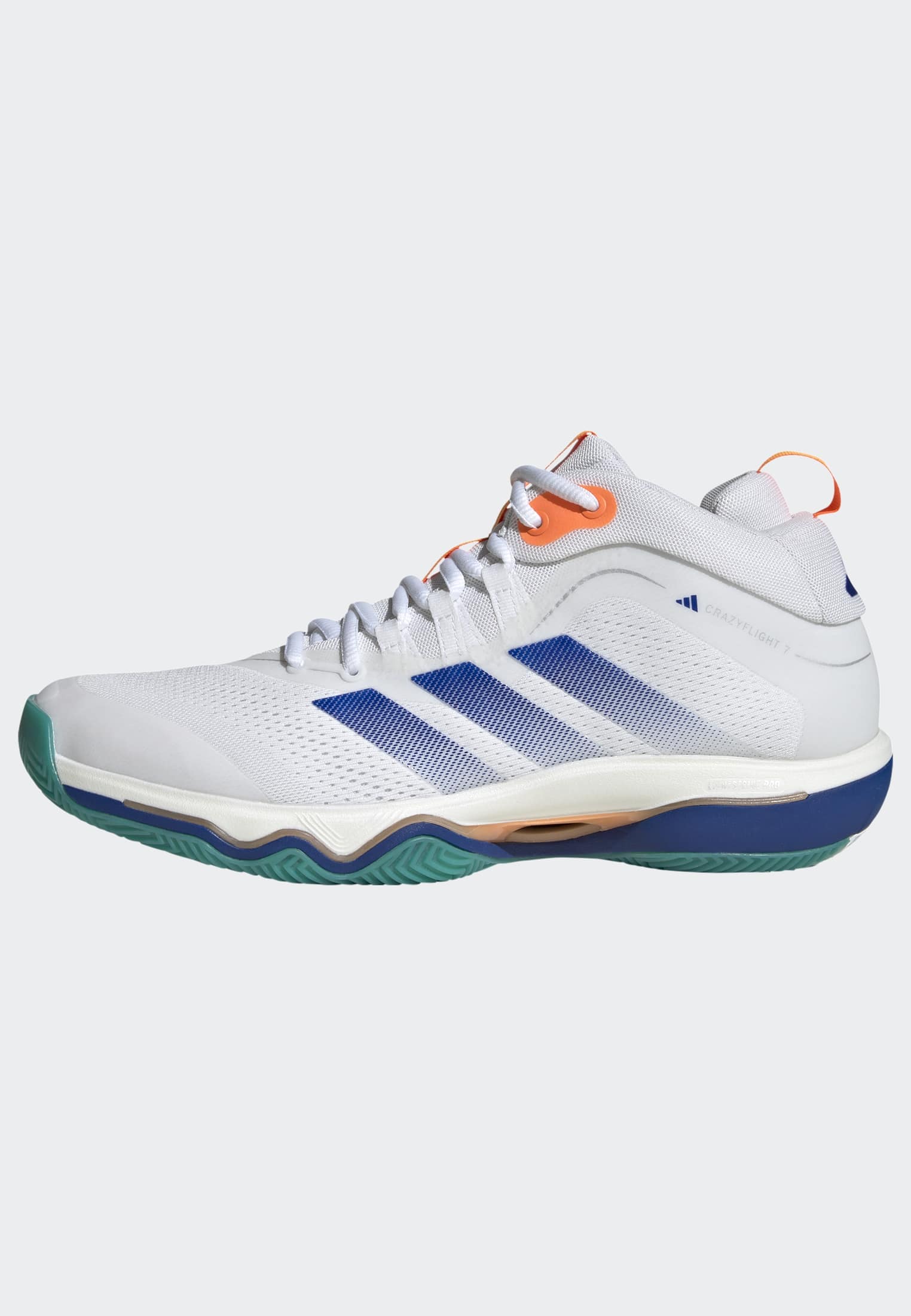 adidas Performance Hallenschuh »CRAZYFLIGHT 7«  Volleyballschuh
