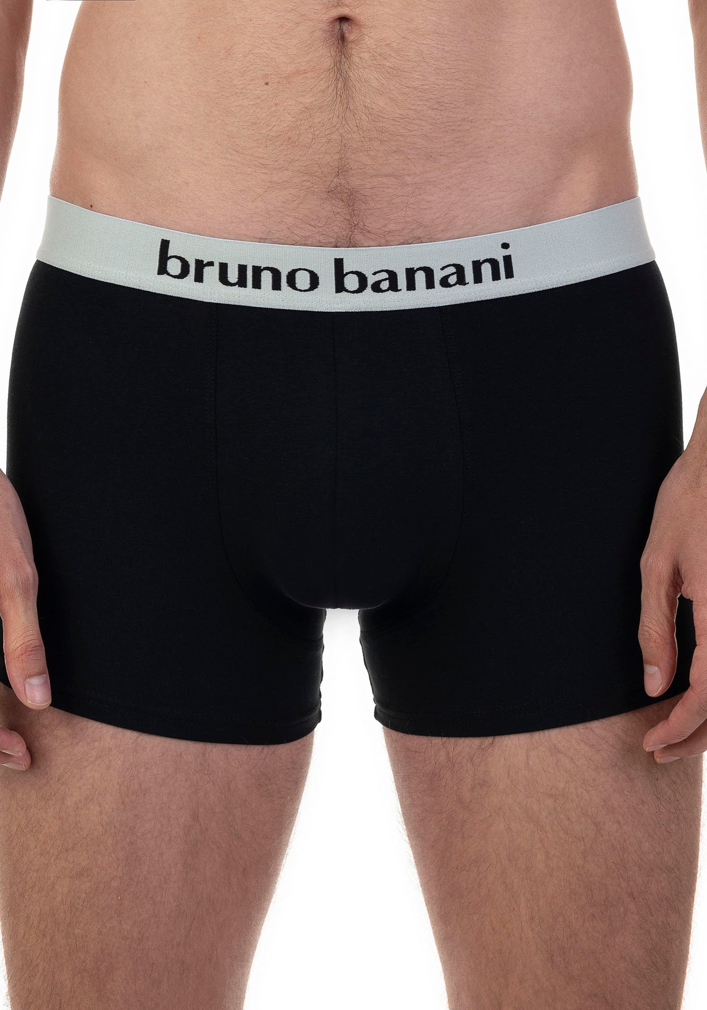 Bruno Banani Boxer, (2er Pack), mit kontrastreichem Logobund