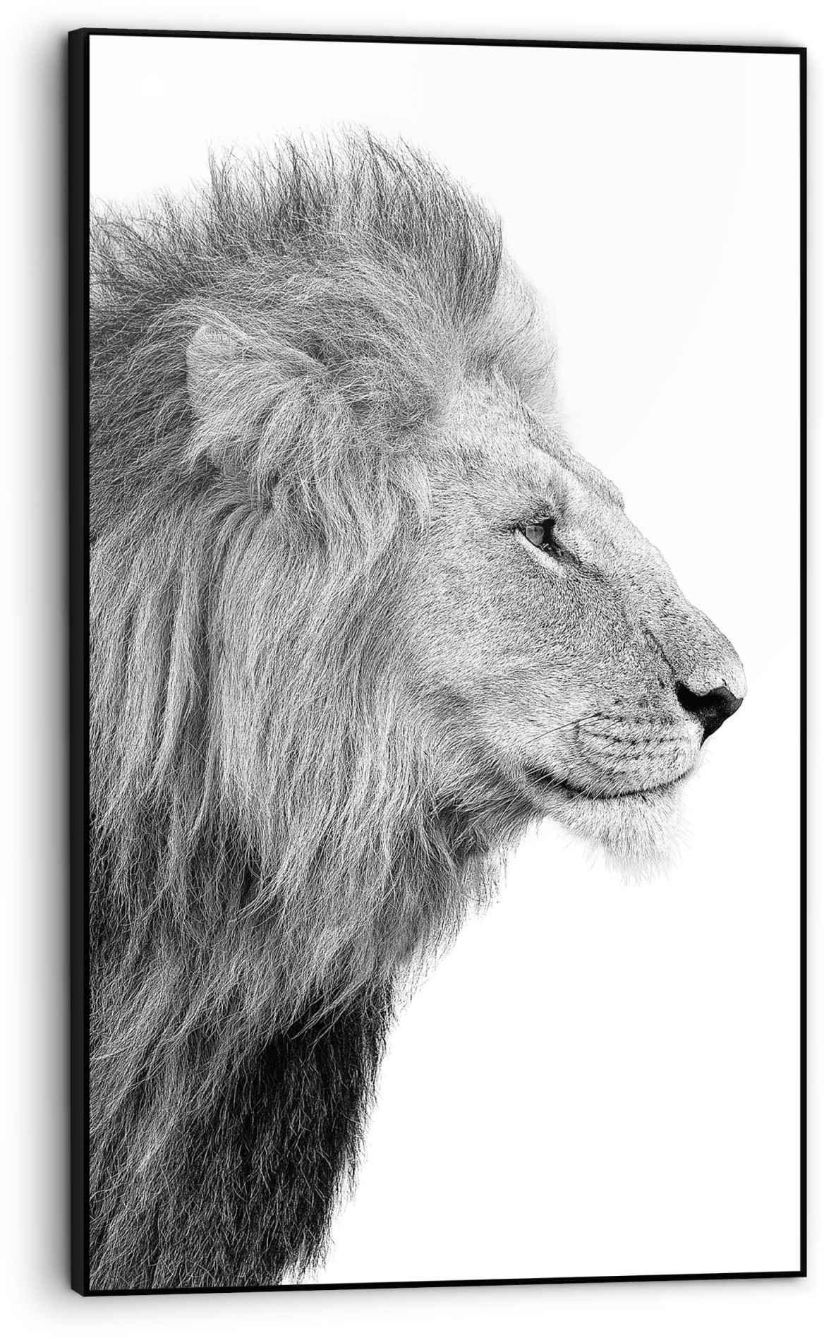 Reinders! Bild »Gerahmtes Bild Löwenkopf Tierkopf - Porträt -  Seitenansicht«, Löwen, (1 St.) bestellen | BAUR