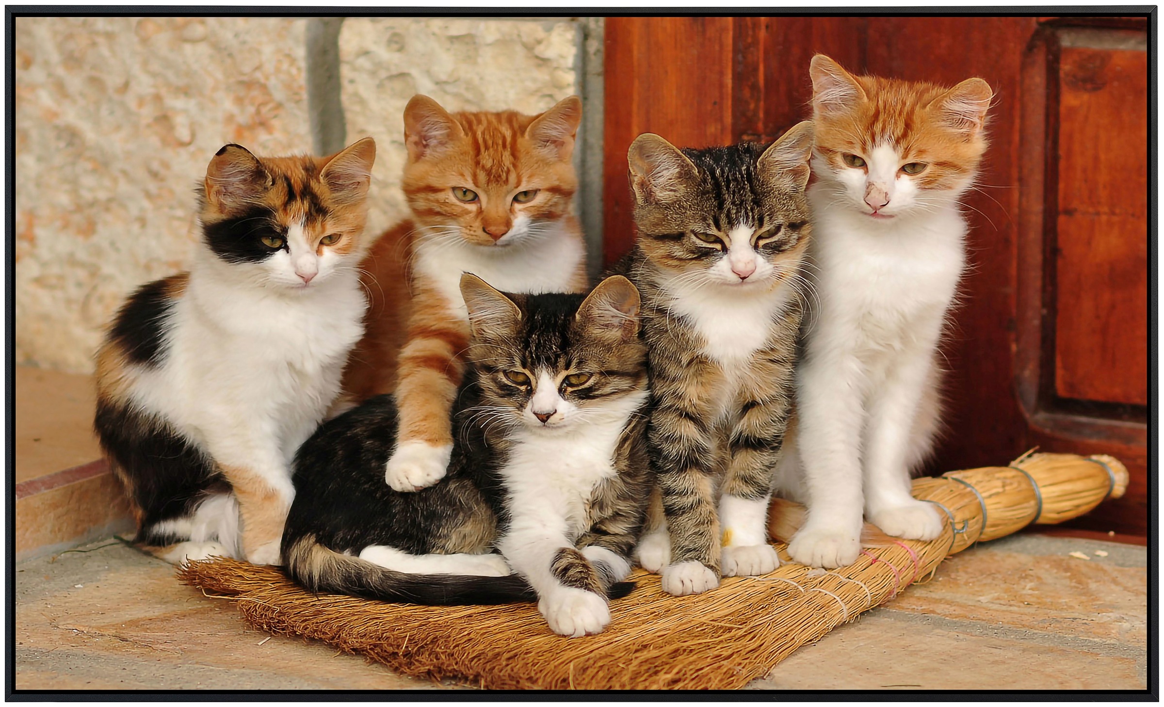 Papermoon Infrarotheizung »Süße katzen«, sehr angenehme Strahlungswärme