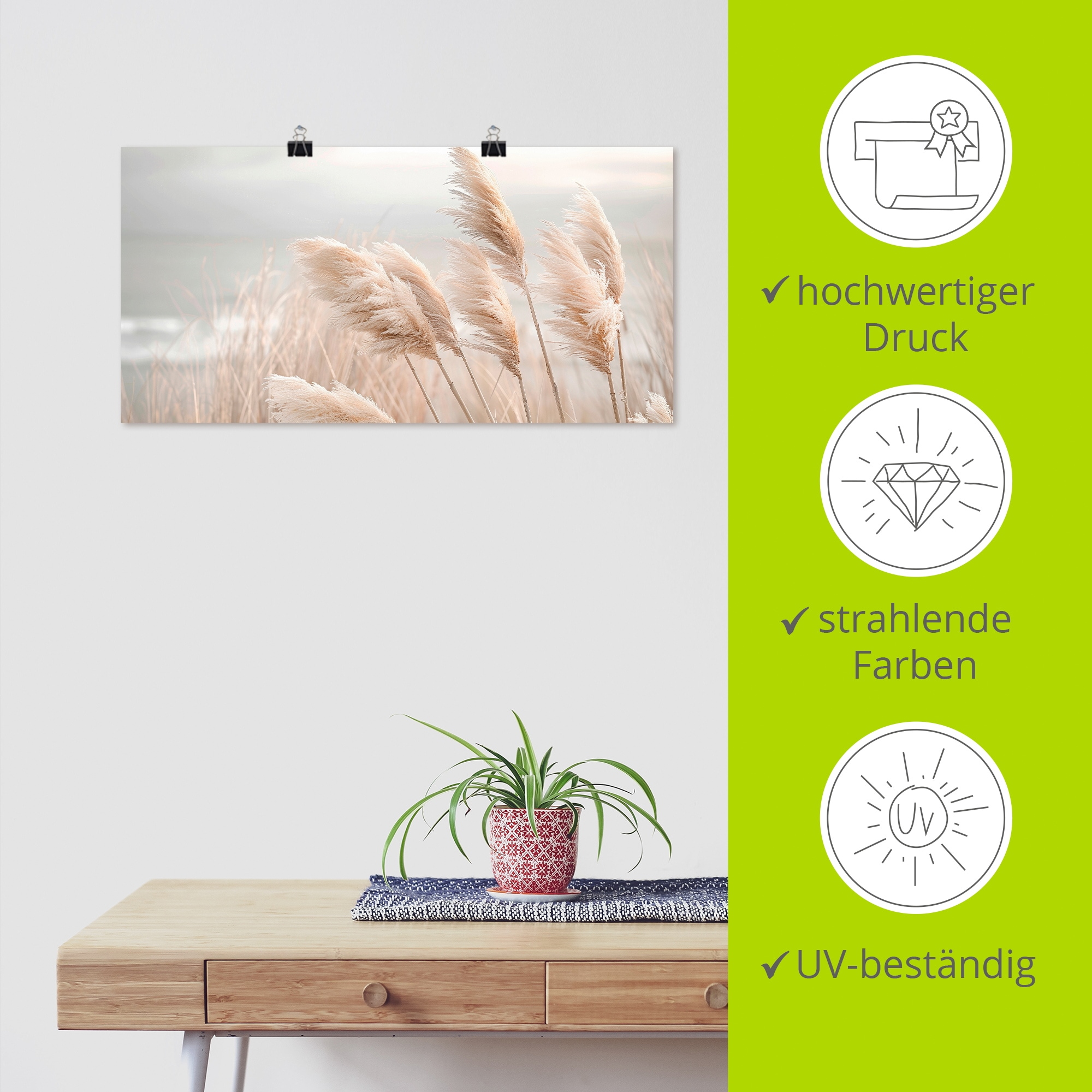 Artland Wandbild »Pampasgras in einer zarten Brise« Gräser 1 Stk. tlg. als Alubild, Leinwandbild, Poster, Wandaufkleber in verschied. Größen