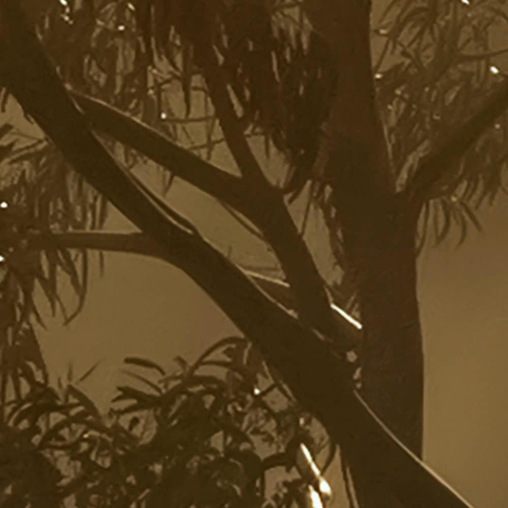 Komar Fototapete »Vlies Fototapete - Foggy Sunshine - Größe 400 x 250 cm«, bedruckt