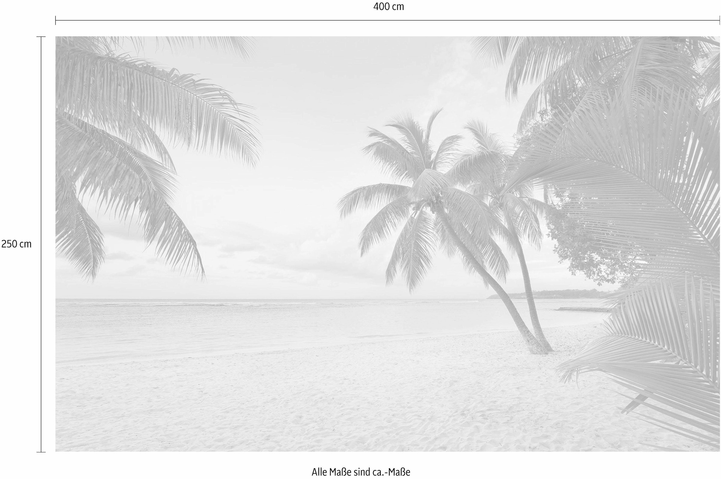 Komar Vliestapete »Digitaldruck Vlies -  Paradise Morning - Größe 400 x 250 cm« bedruckt glatt Wohnzimmer, Schlafzimmer