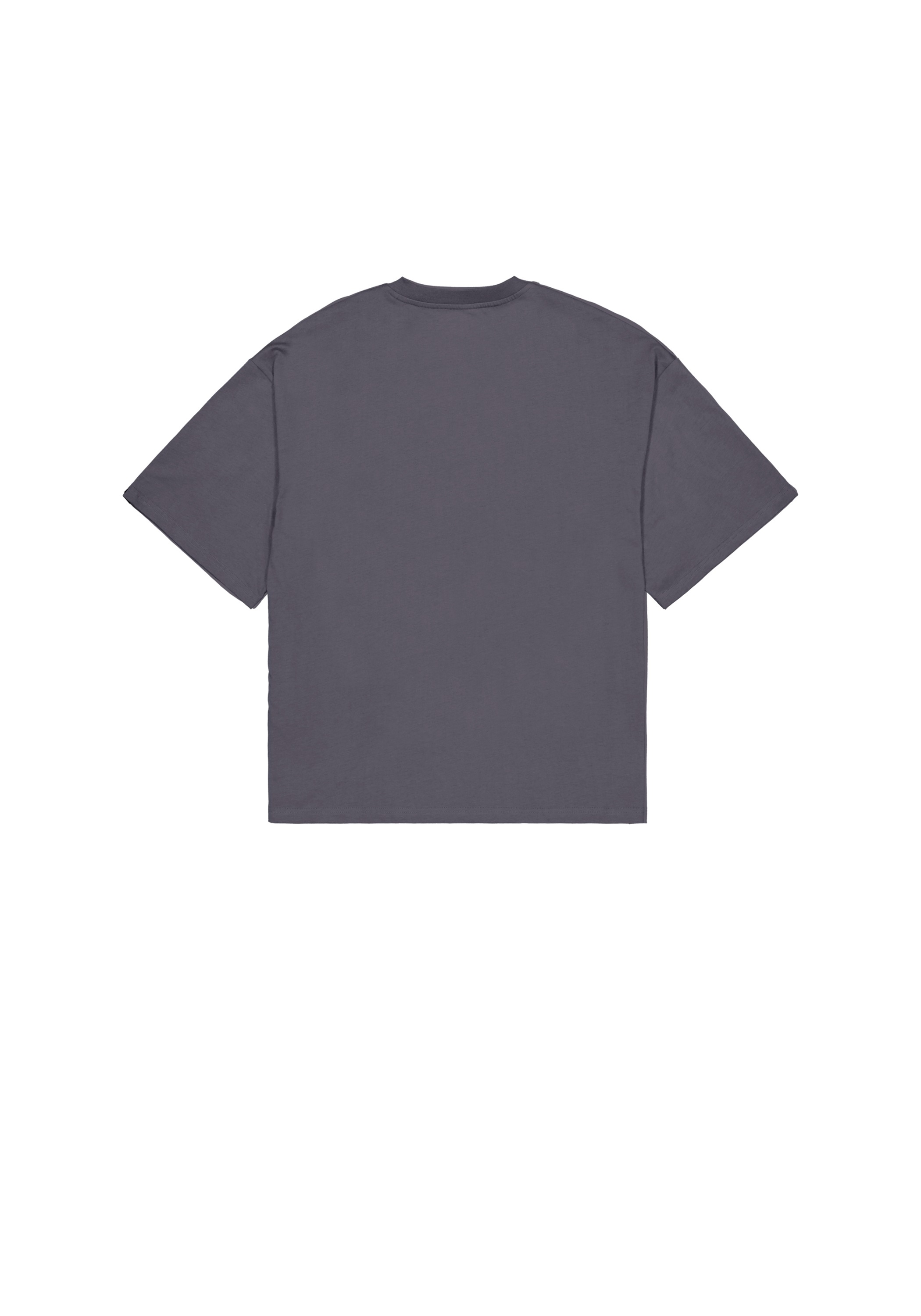 Alpha Industries T-Shirt "Studio Edition T-Shirt" günstig online kaufen