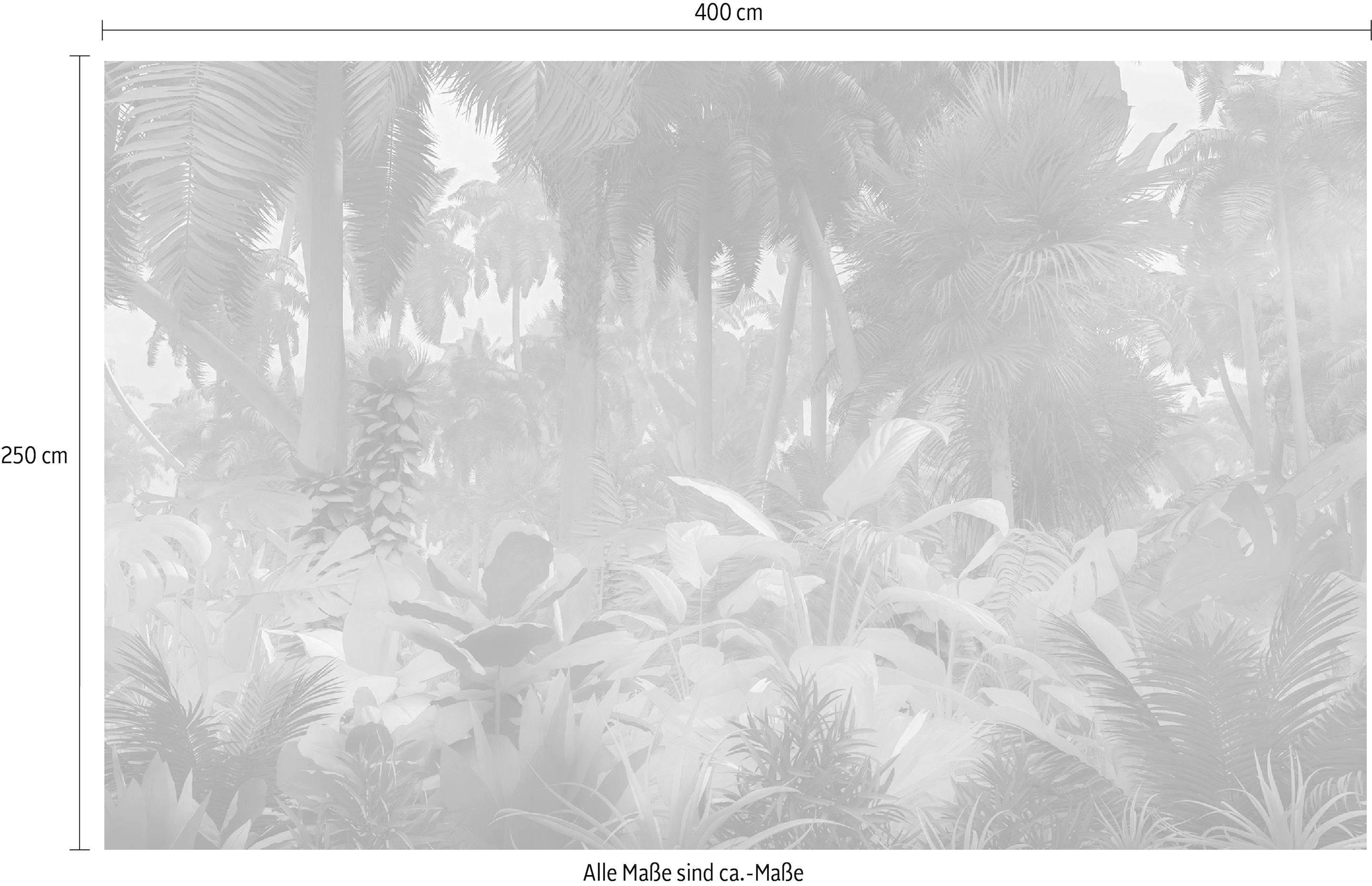 Komar Vliestapete »Digitaldruck Vlies - Misty Jungle - Größe 400 x 250 cm«, bedruckt, Wohnzimmer, Schlafzimmer