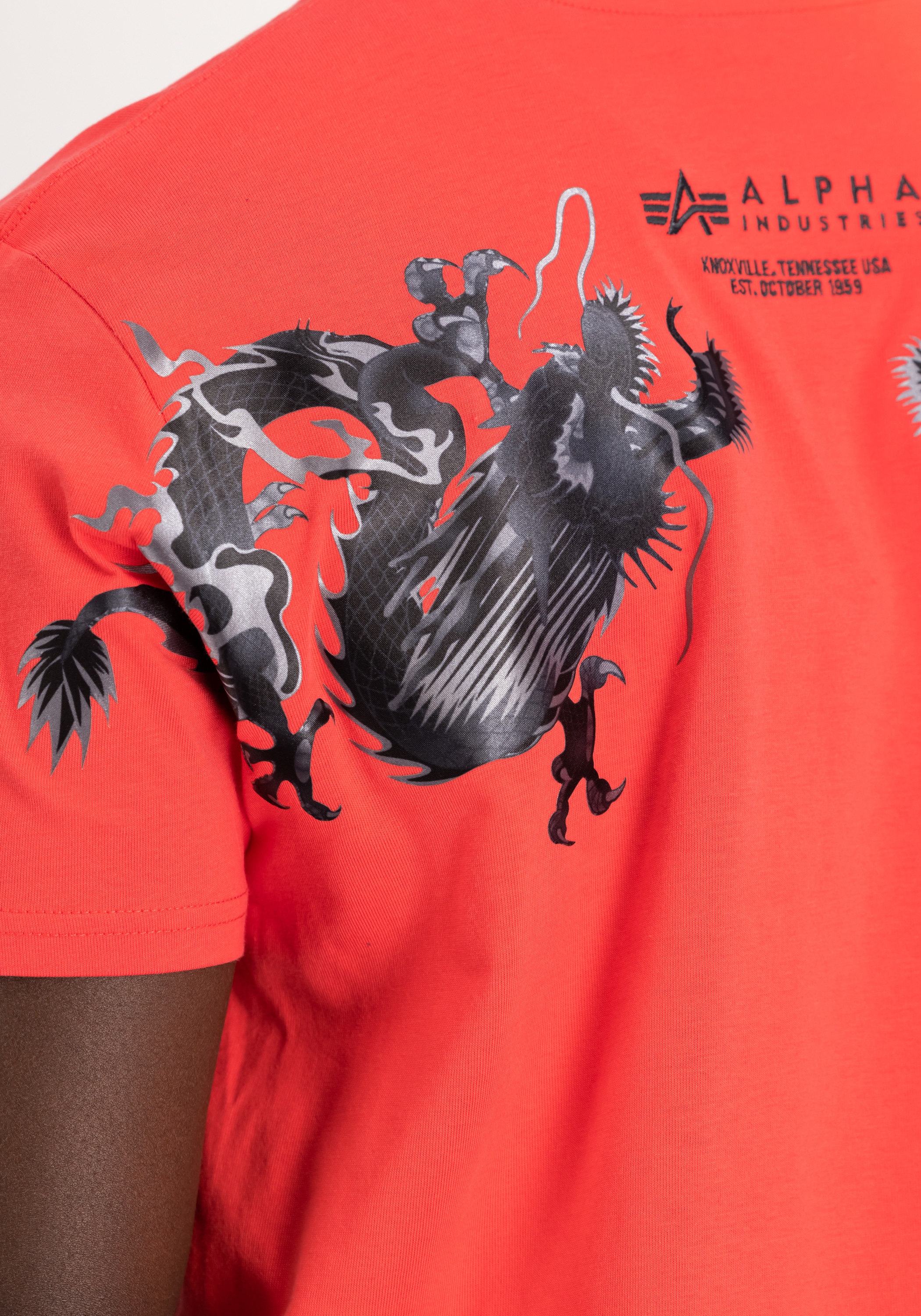 Alpha Industries T-Shirt »Alpha Industries Men - T-Shirts Dragon EMB T-Shirt«