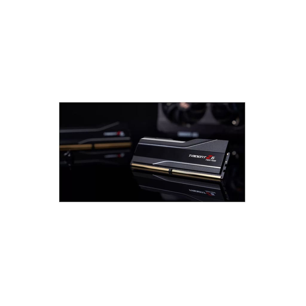 G.Skill PC-Arbeitsspeicher »F5-6000J3636F16GX2-TZ5NR«