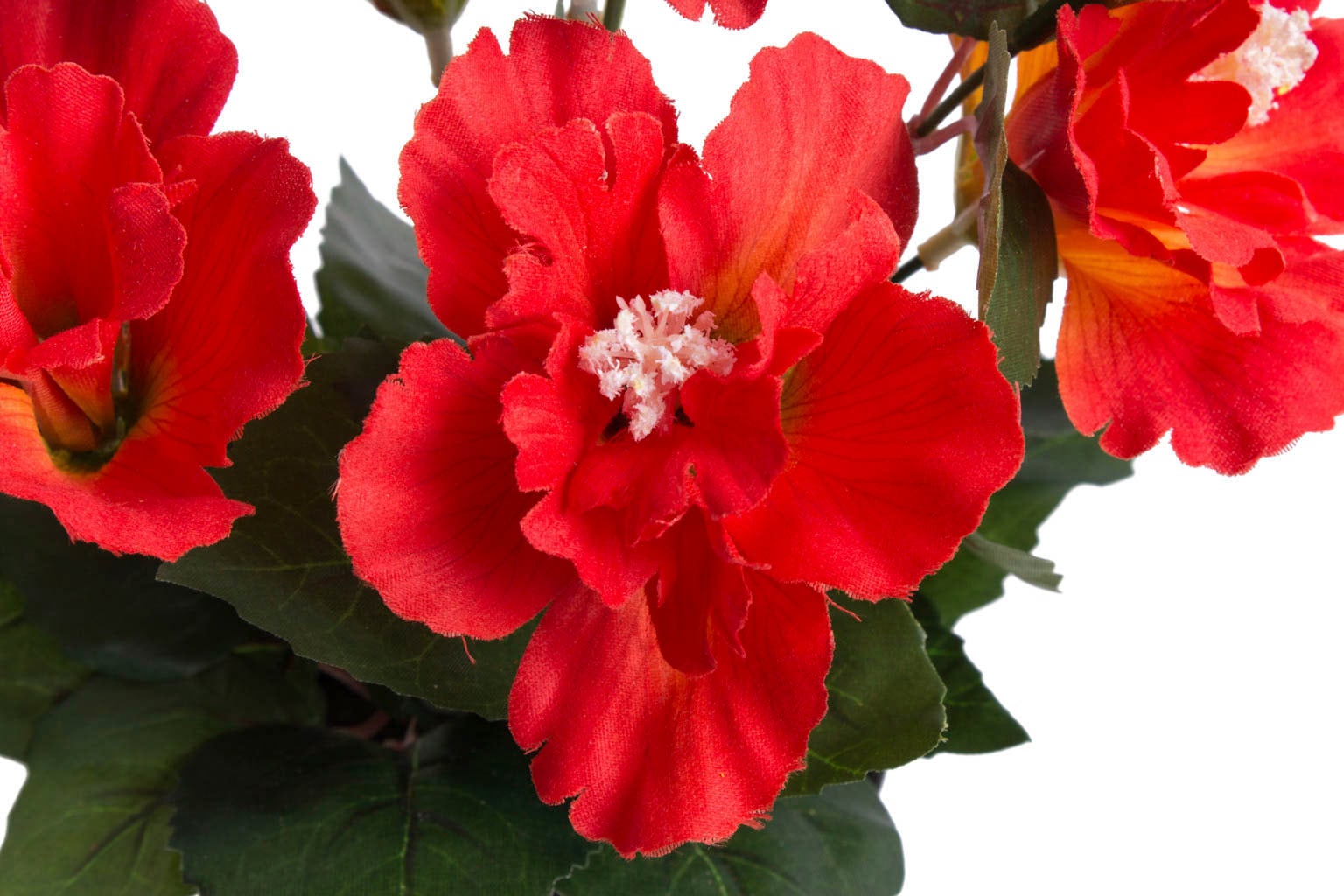 Botanic-Haus Kunstblume »Hibiskus im Topf« kaufen | BAUR