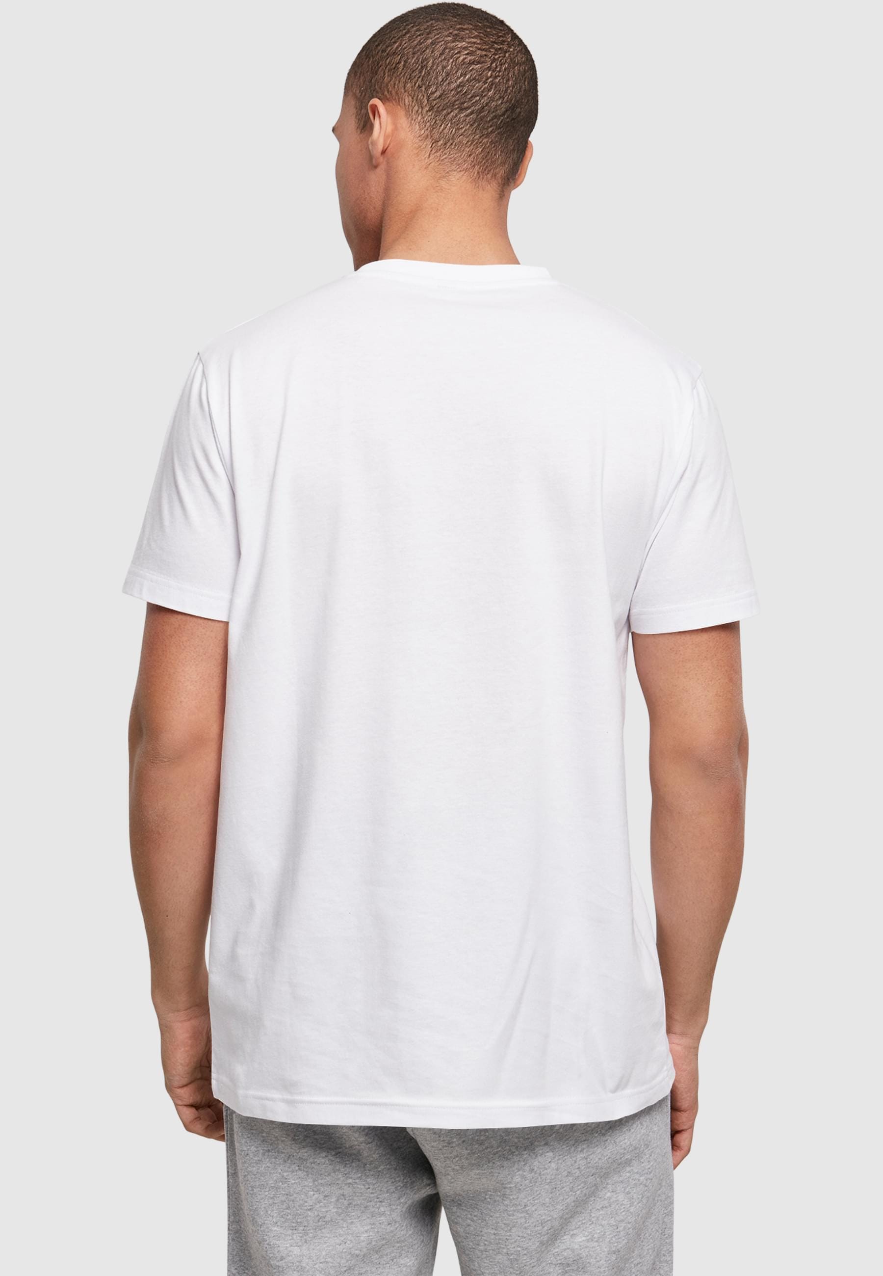 ABSOLUTE CULT T-Shirt »ABSOLUTE CULT Herren Blue Beetle - Logo Pattern Basic T-Shirt«, (1 tlg.)