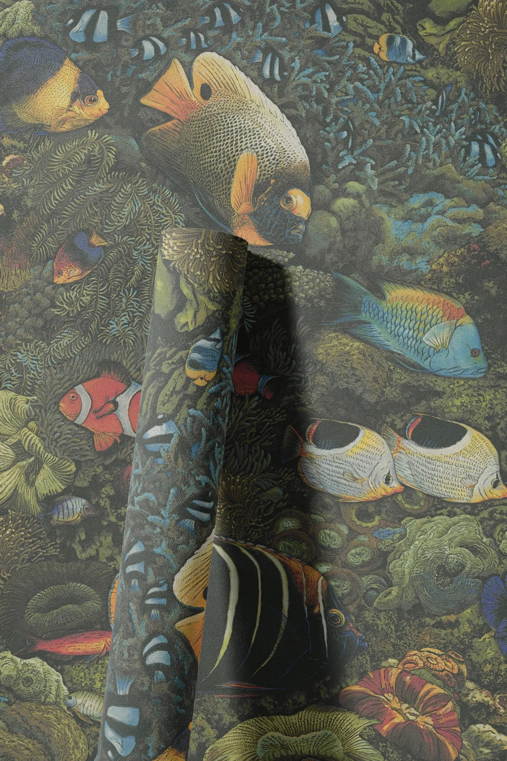 living walls Vliestapete »LIMITED – Tropische Unterwasserwelt« Motiv | naturalistisch | tropisch leicht strukturiert Detailreiche Fische und Korallen im exotischen Unterwasser-Look