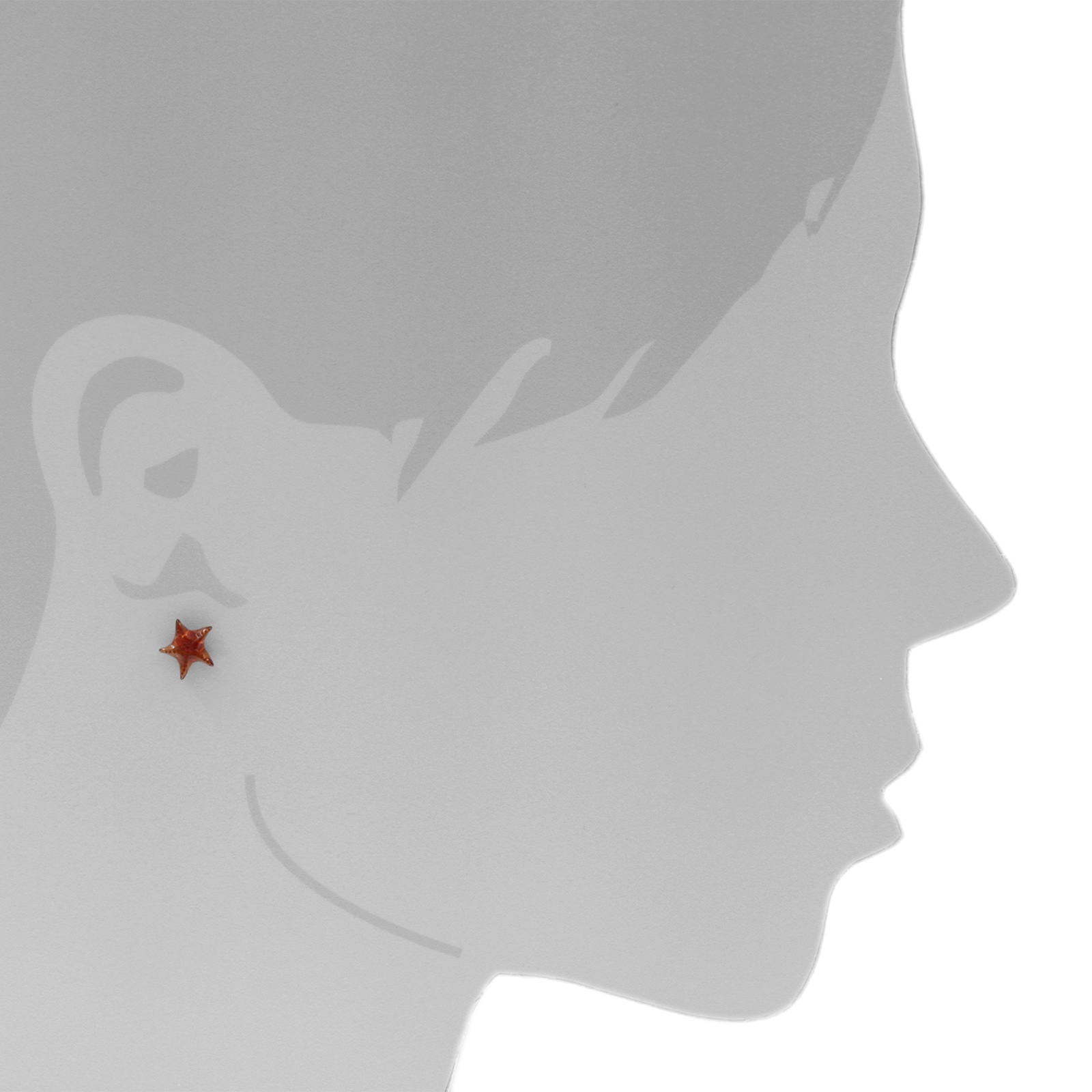 OSTSEE-SCHMUCK Paar Ohrstecker »- Stern - Silber 925/000 - Bernstein«