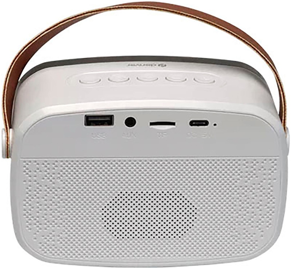 Denver Bluetooth-Lautsprecher »BTM-610«, mit Karaoke-Funktion