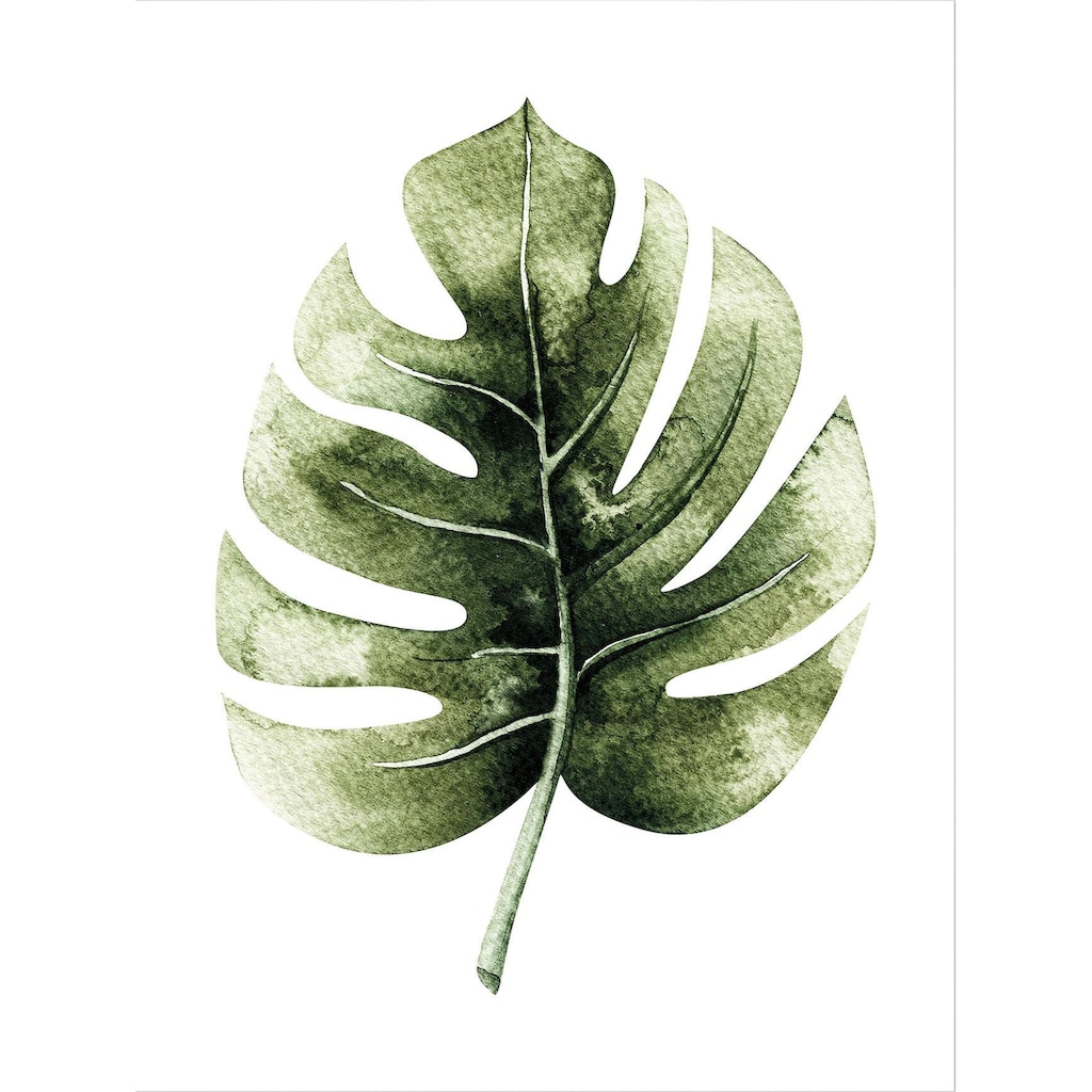 Wall-Art Poster »Kvilis Dschungel Monstera Pflanze«, Schriftzug