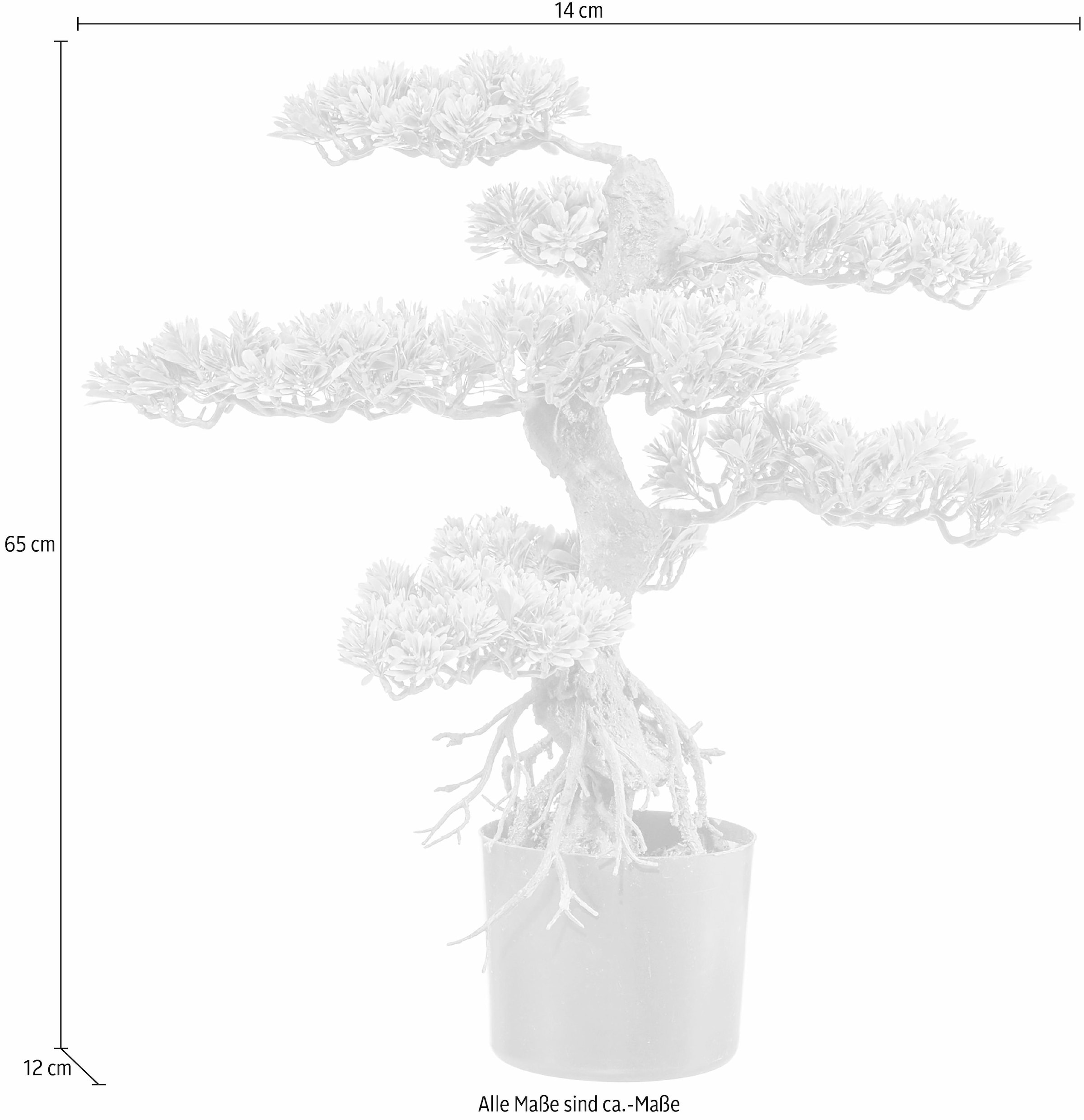 Creativ green Kunstbonsai »Bonsai«