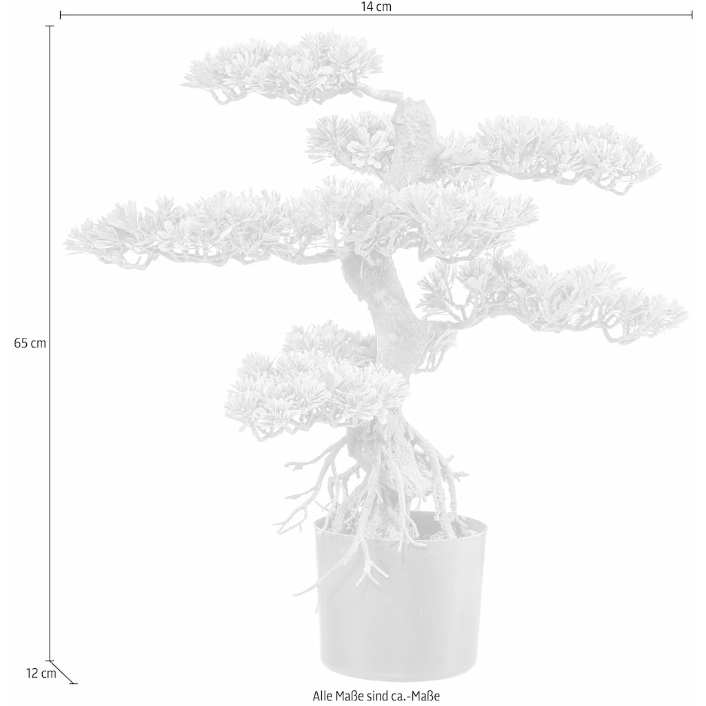 Creativ green Kunstbonsai »Bonsai«