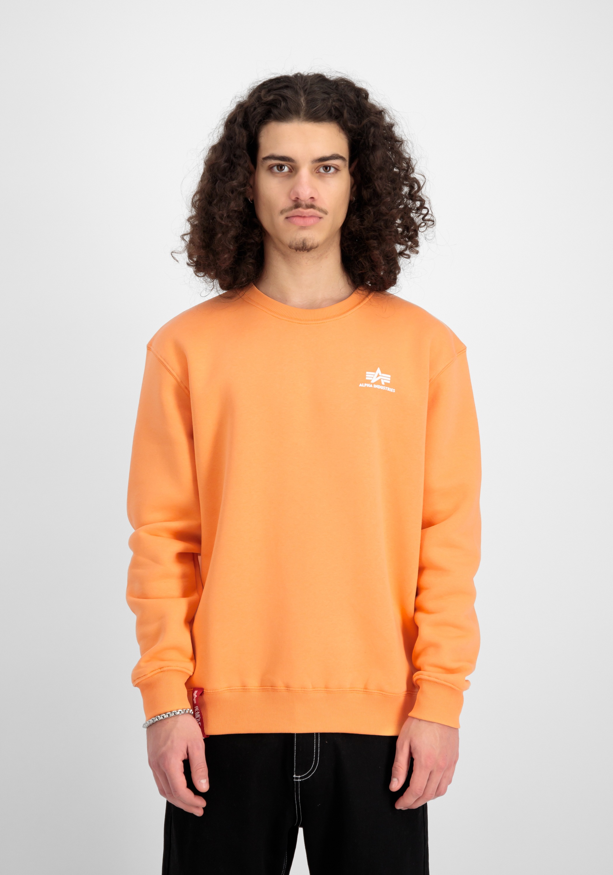 Alpha Industries Sweater »Alpha Industries Men - Sweatshirts Basic Sweatshirt SL«