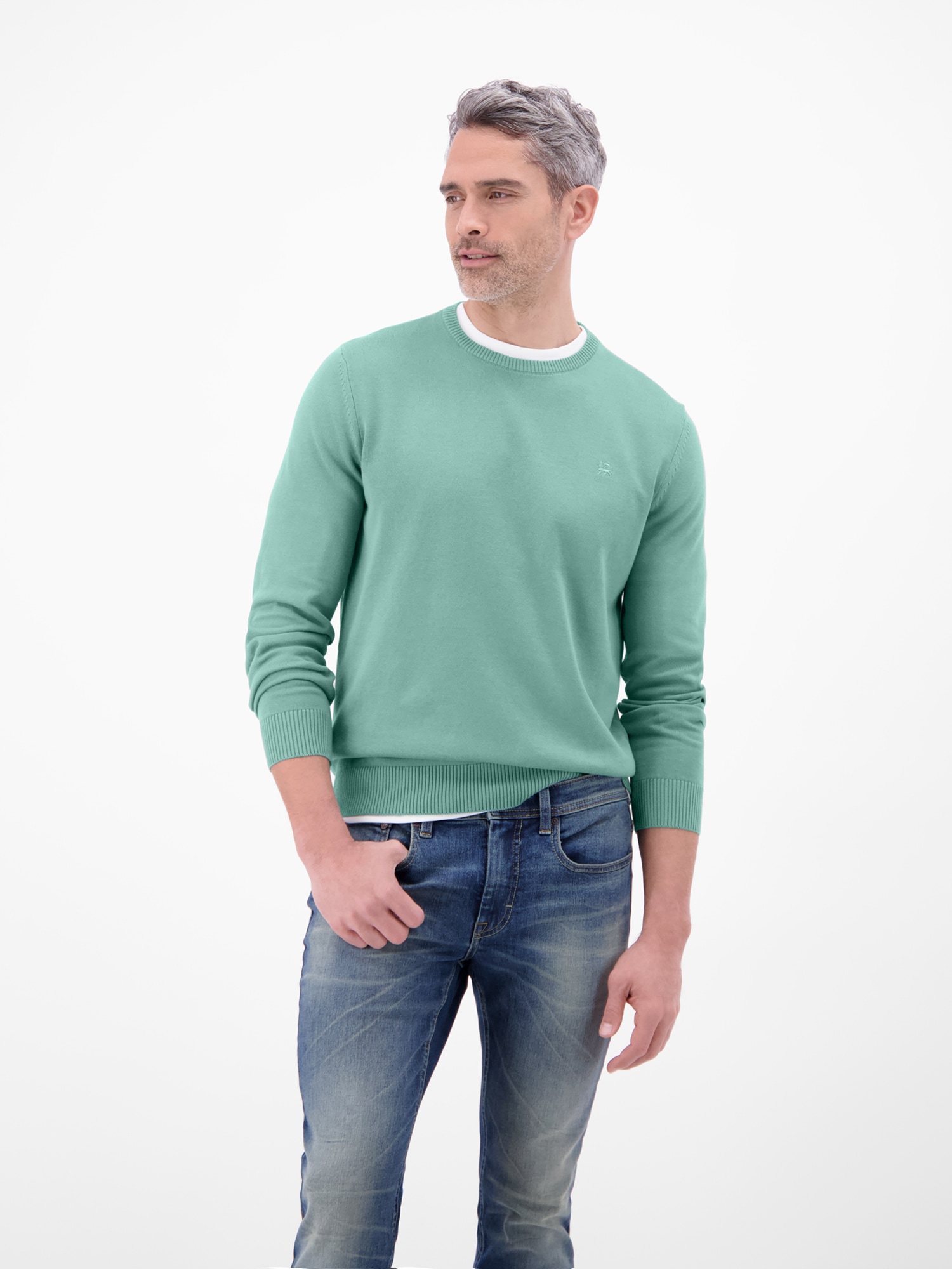 LERROS 1100000002199 "Herren Strickpullover aus Baumwolle mit Crewneck Ausschnitt" Weicher Strick-Pullover, Rundhalsausschnitt, lange Ärmel, pflegeleicht